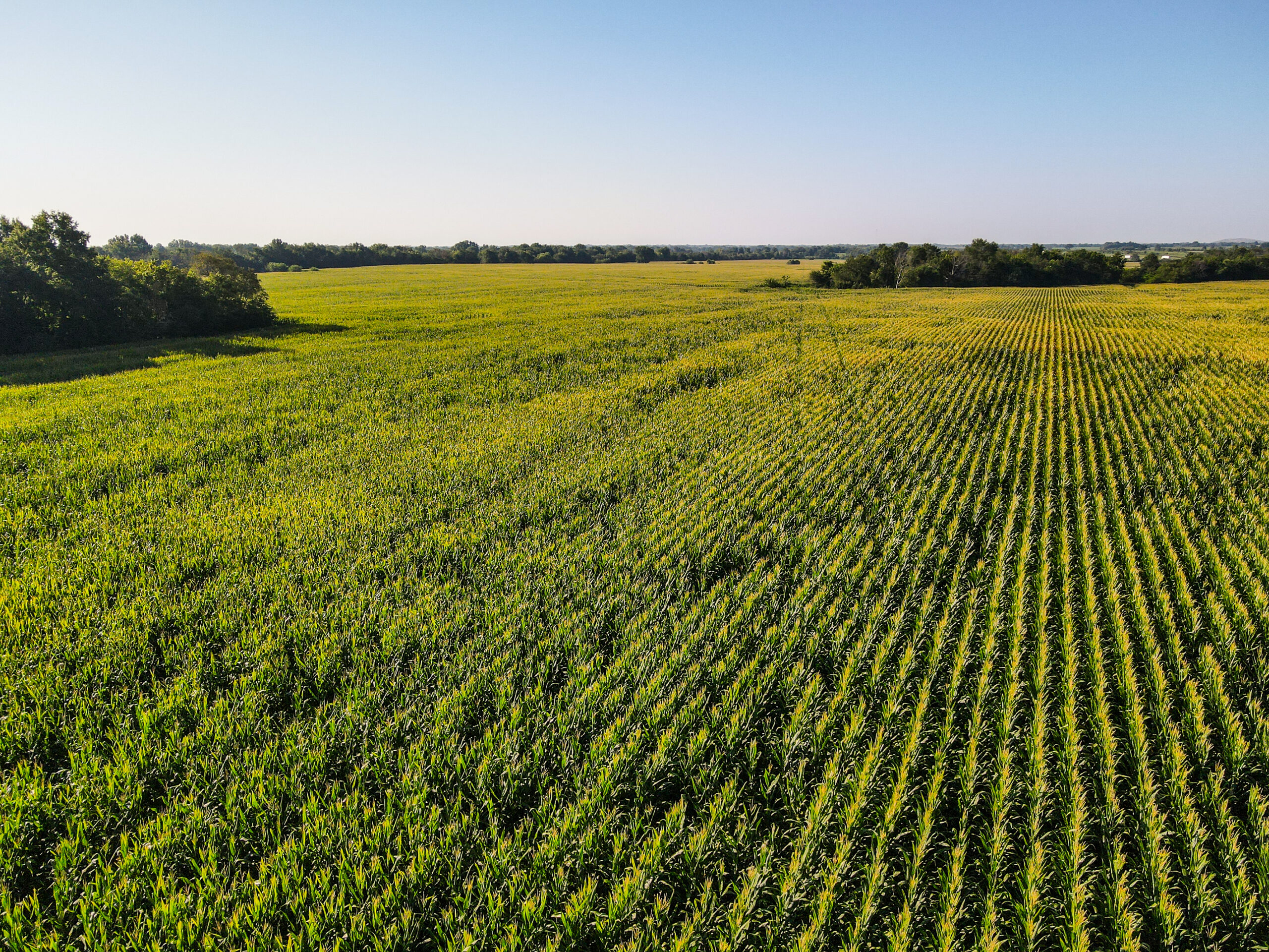 Land for Sale in Barton County