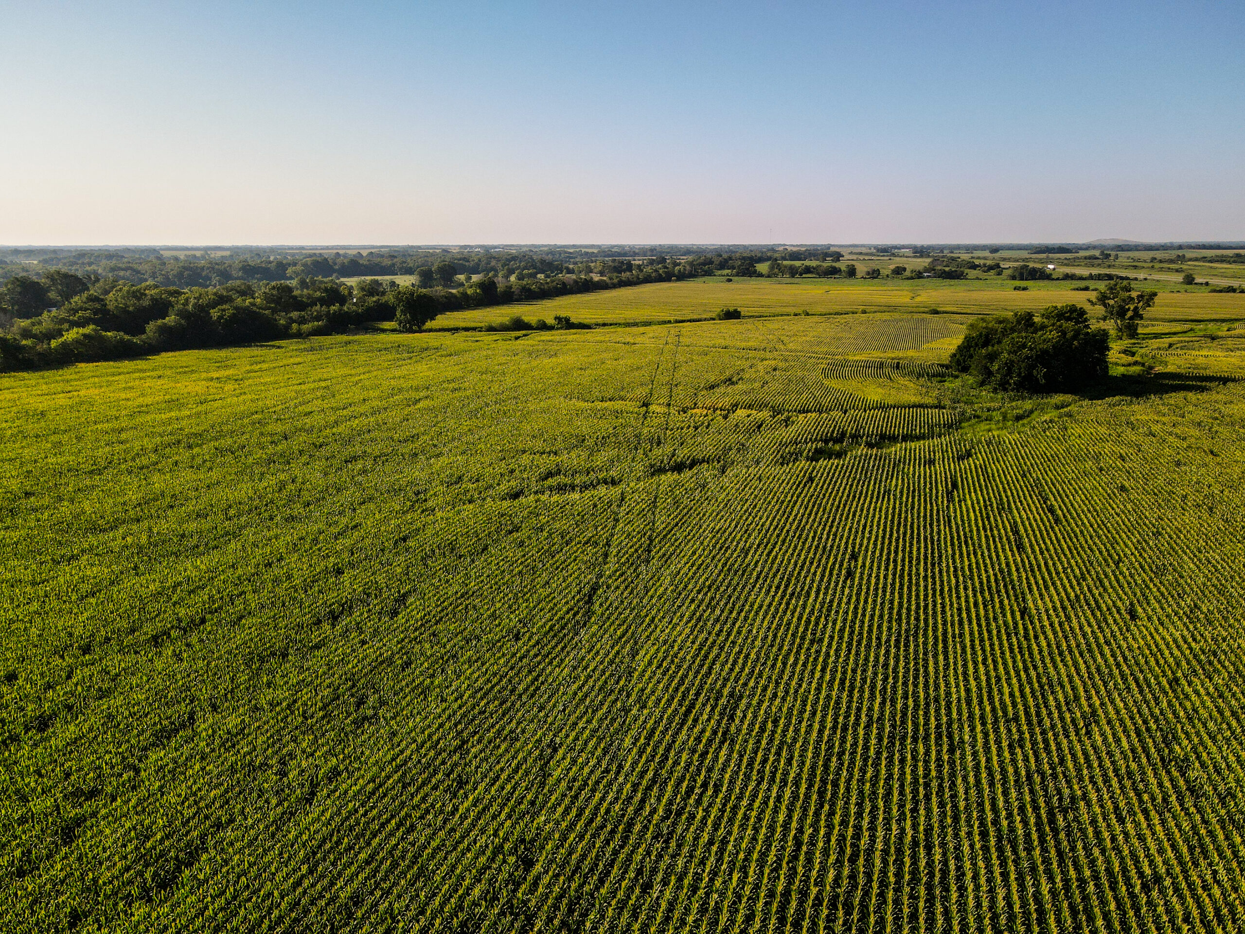 Land for Sale in Barton County