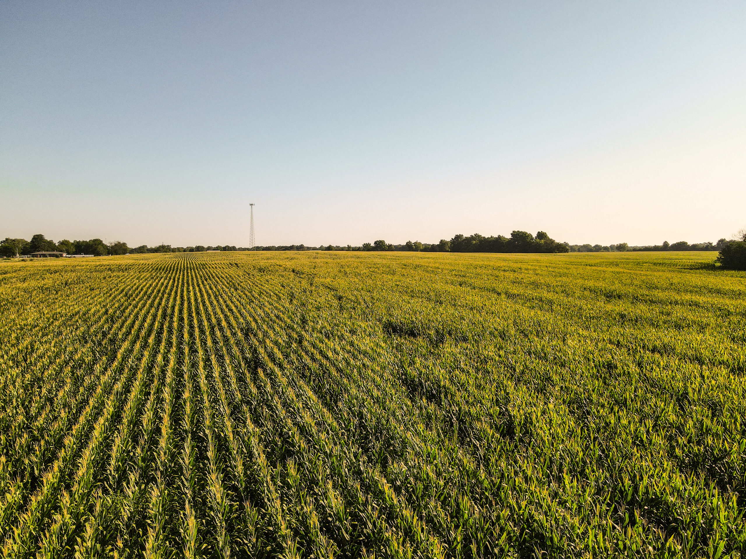 Land for Sale in Barton County