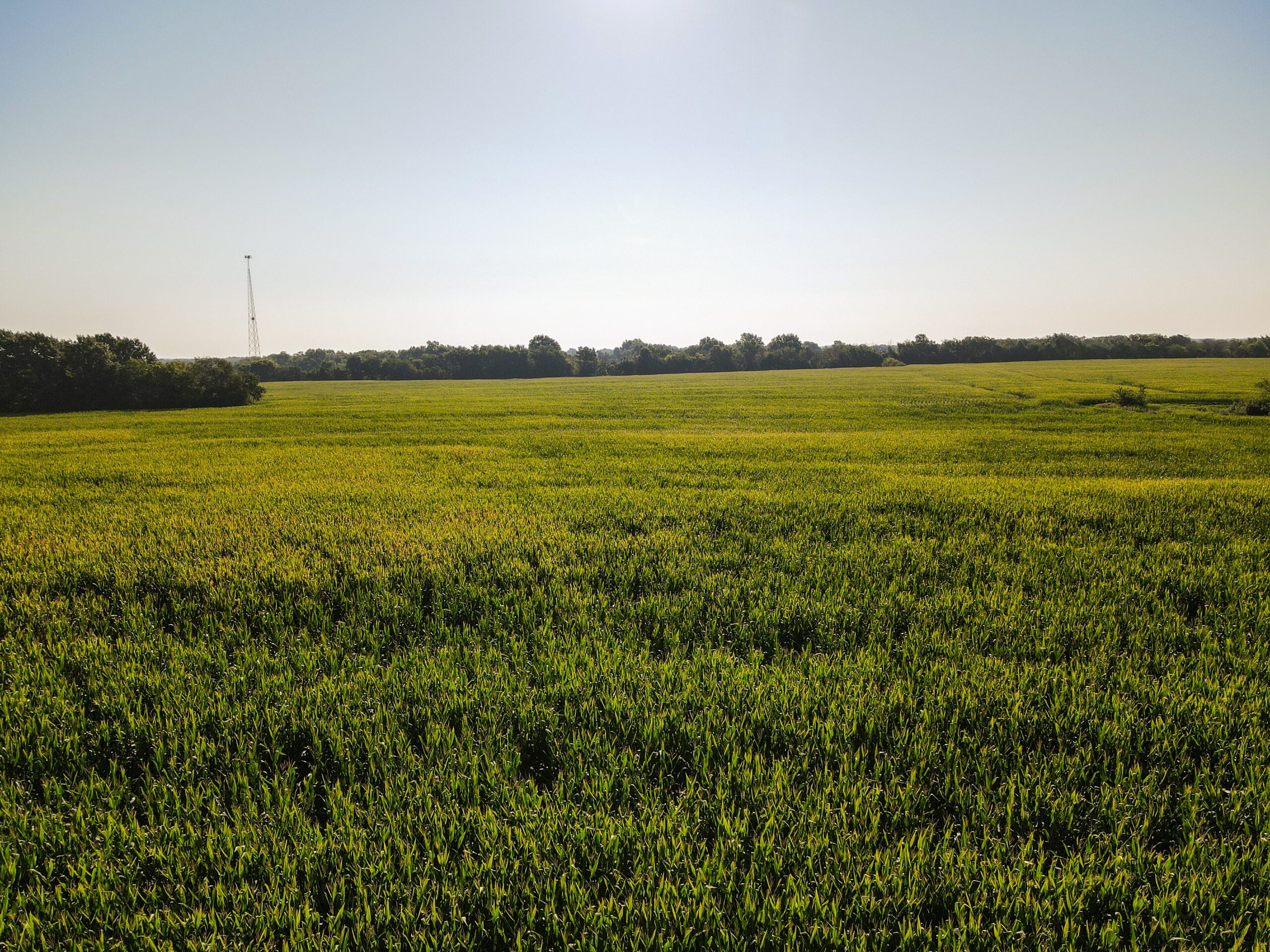 Land for Sale in Barton County