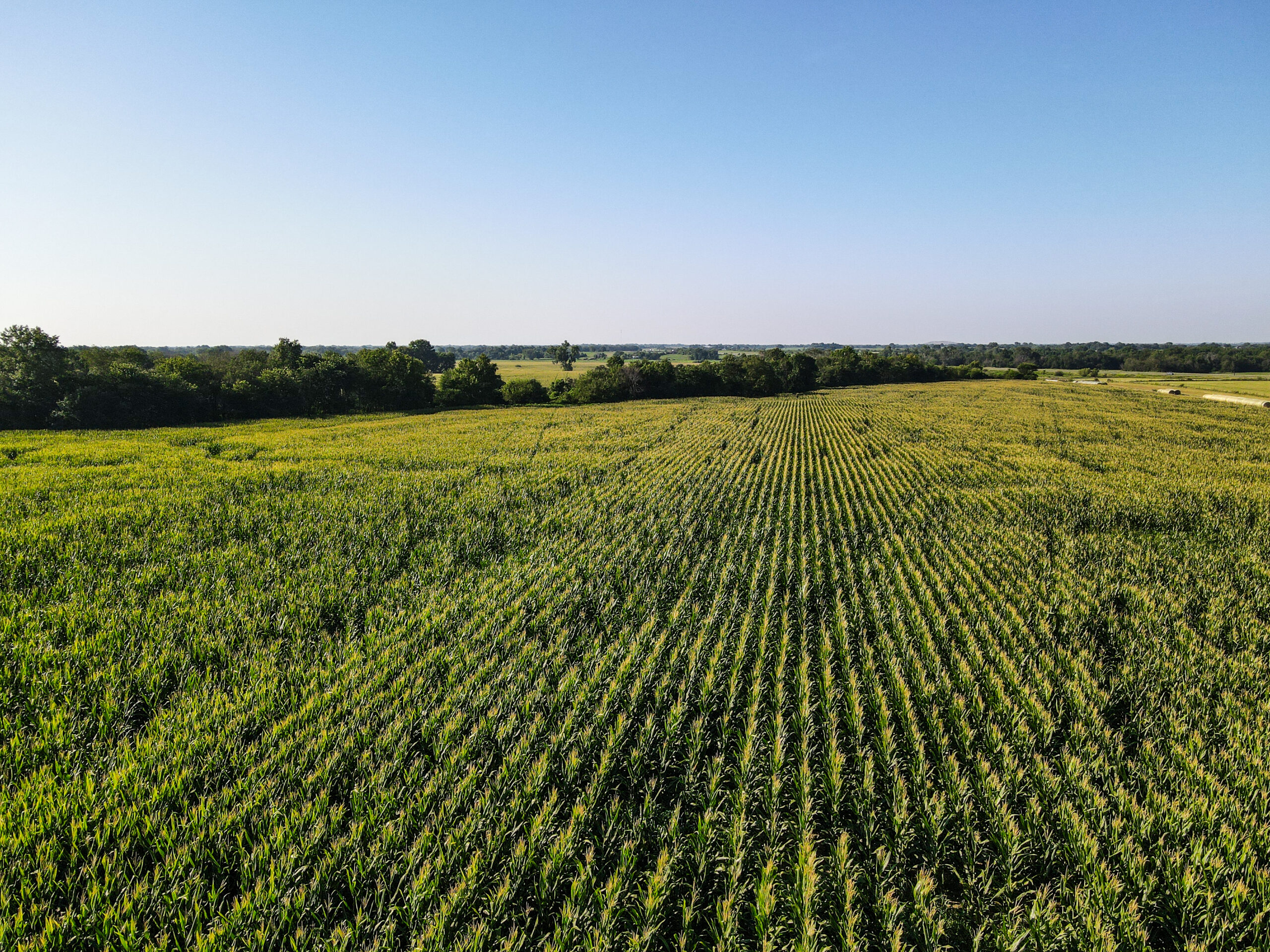 Land for Sale in Barton County