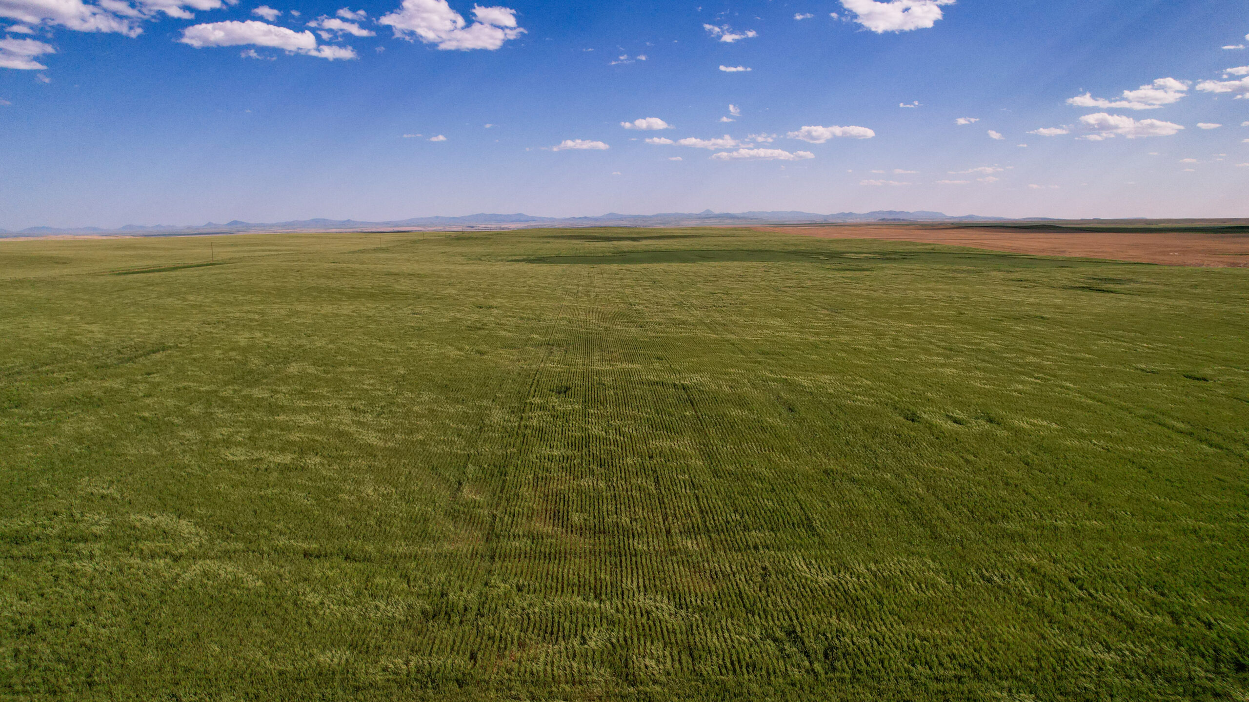 Golden Triangle Farm & Ranch in Hill County, Montana