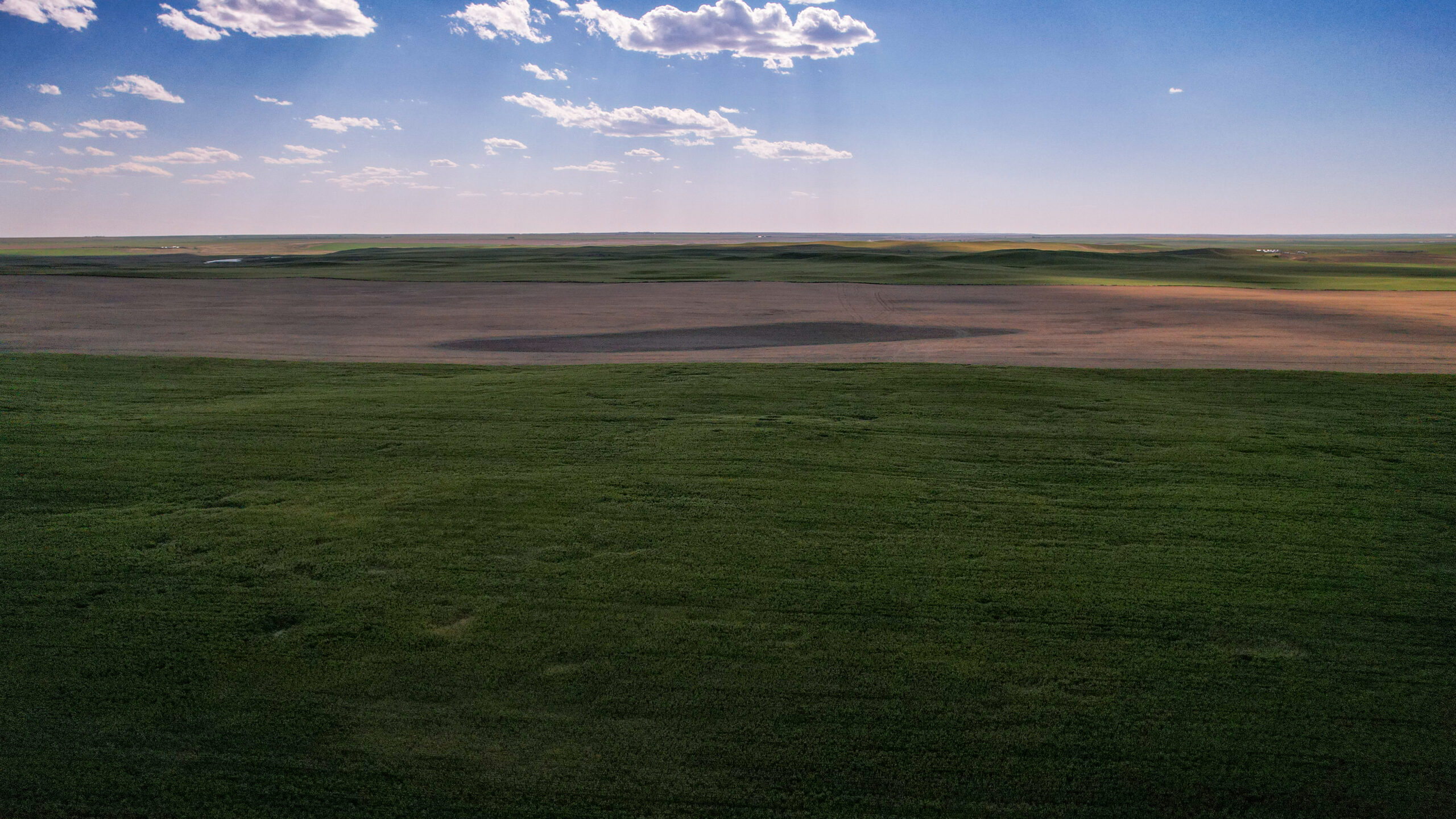 Golden Triangle Farm & Ranch in Hill County, Montana