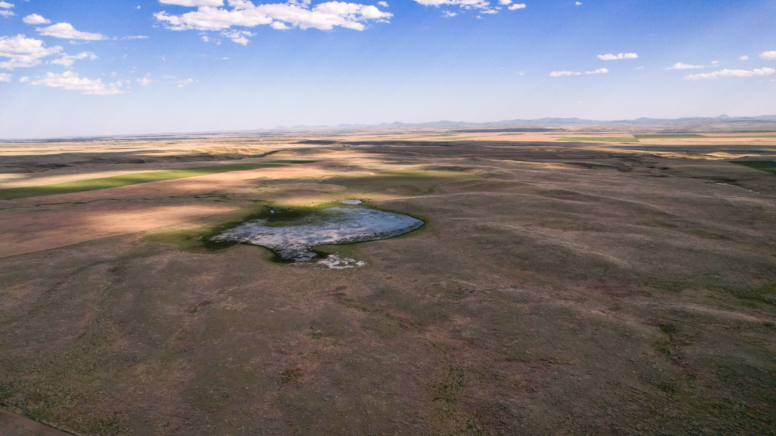 Golden Triangle Farm & Ranch in Hill County, Montana