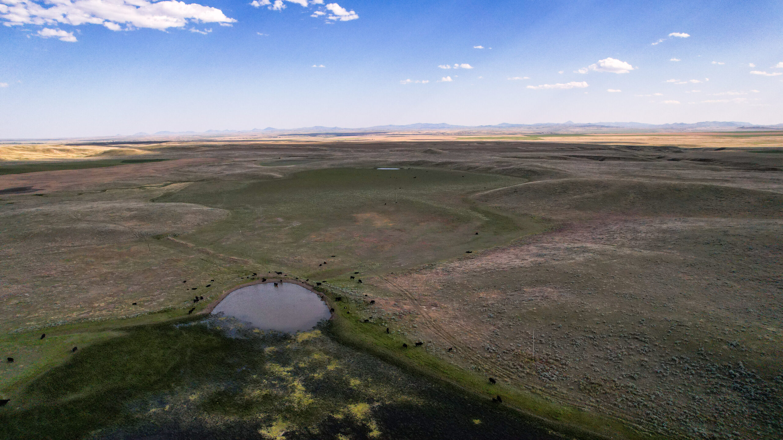 Golden Triangle Farm & Ranch in Hill County, Montana