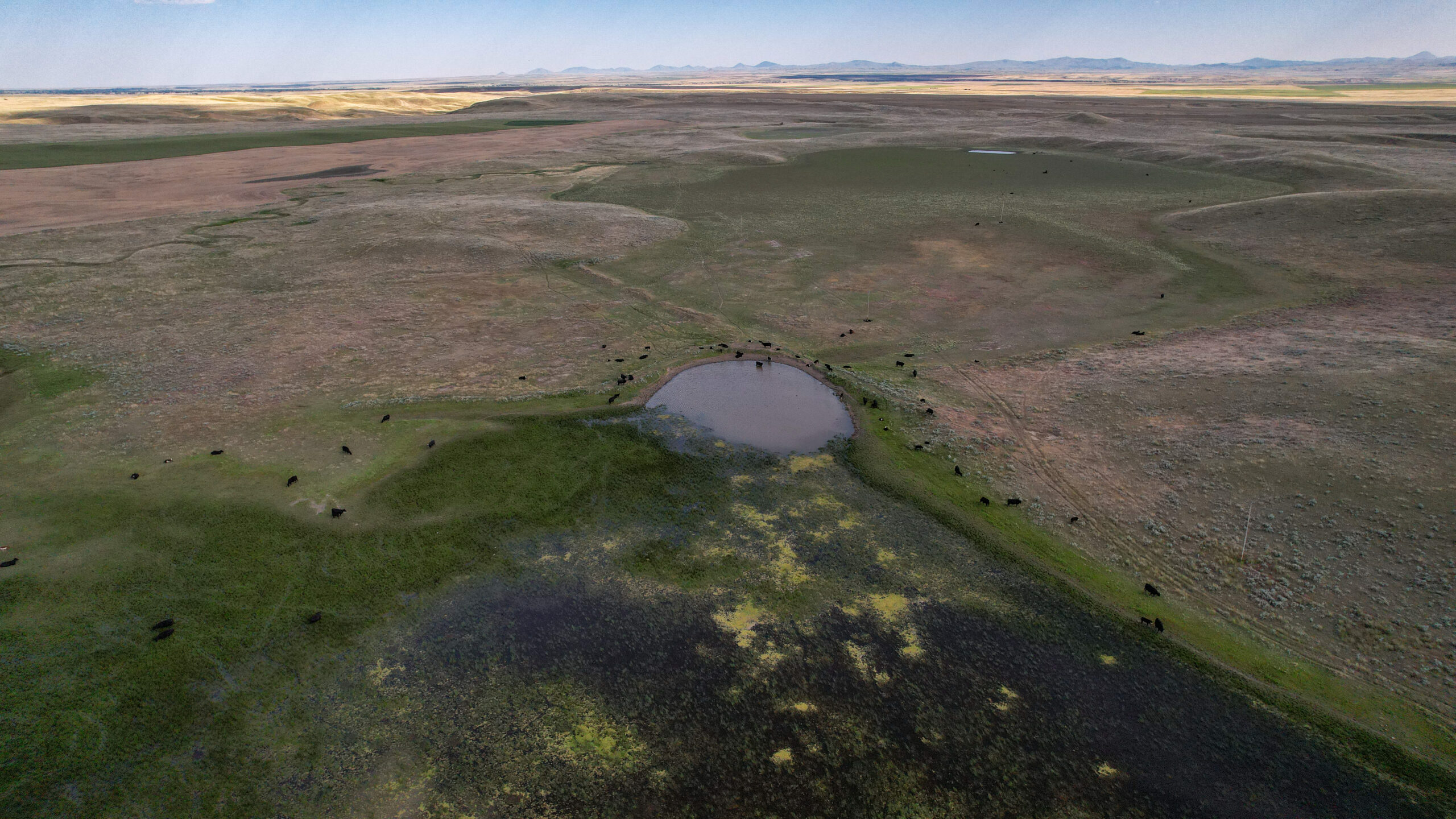 Golden Triangle Farm & Ranch in Hill County, Montana