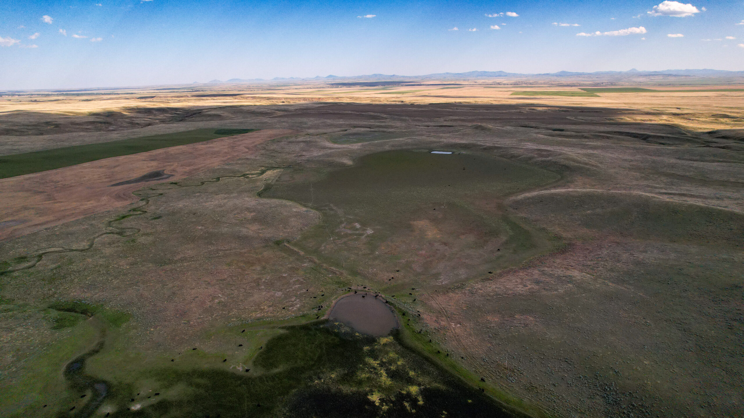 Golden Triangle Farm & Ranch in Hill County, Montana
