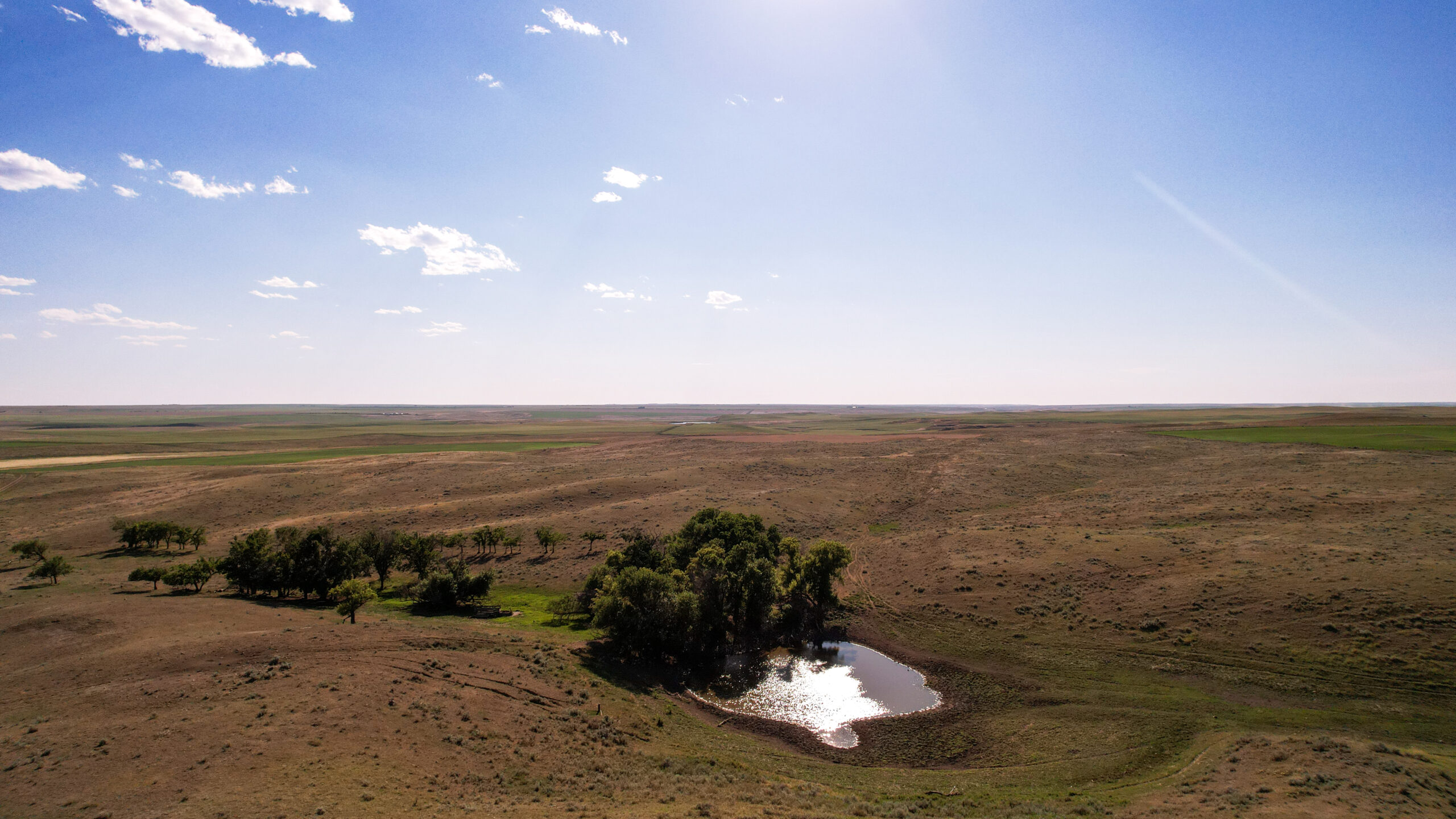 Golden Triangle Farm & Ranch in Hill County, Montana