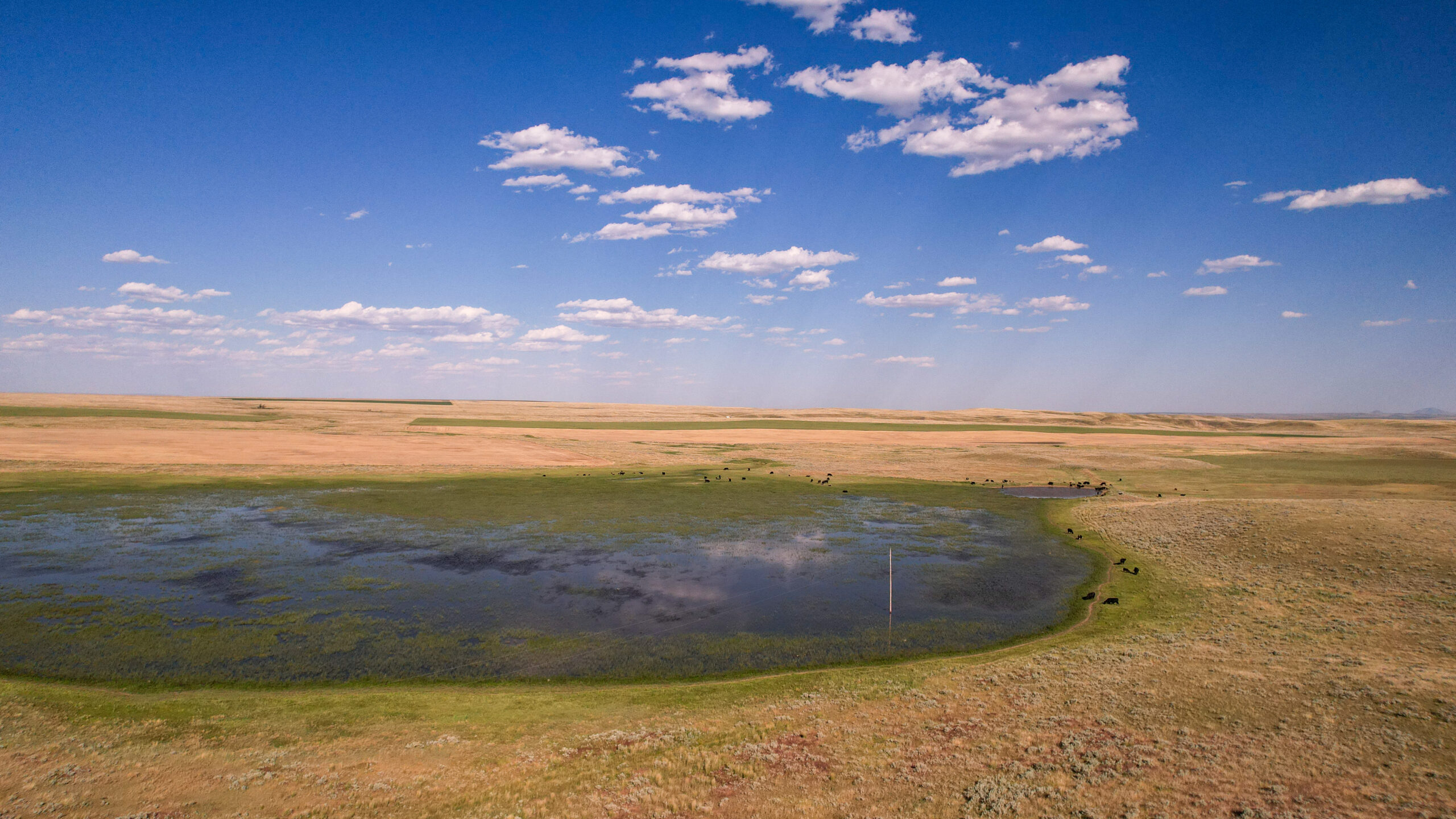 Golden Triangle Farm & Ranch in Hill County, Montana