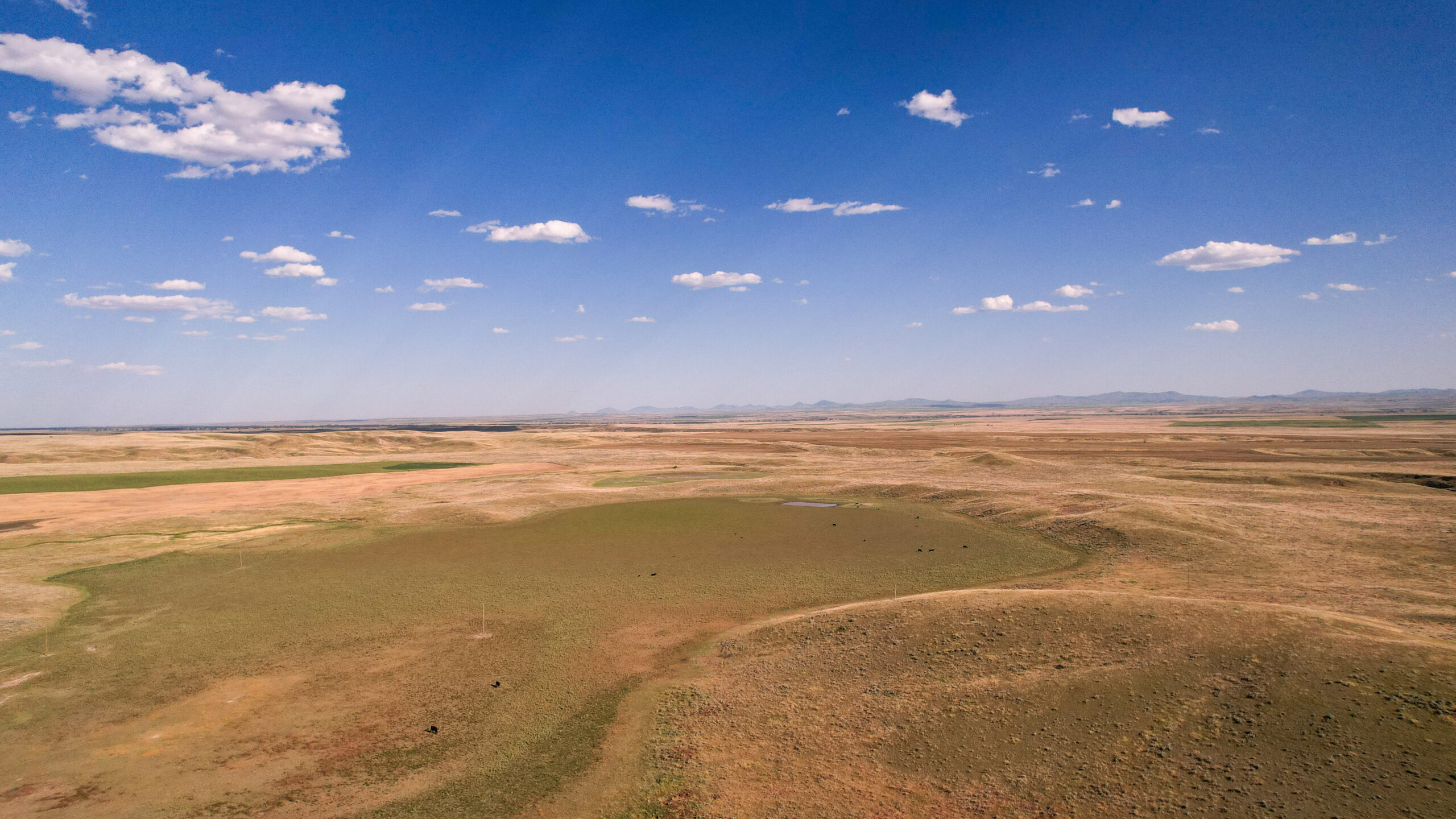 Golden Triangle Farm & Ranch in Hill County, Montana