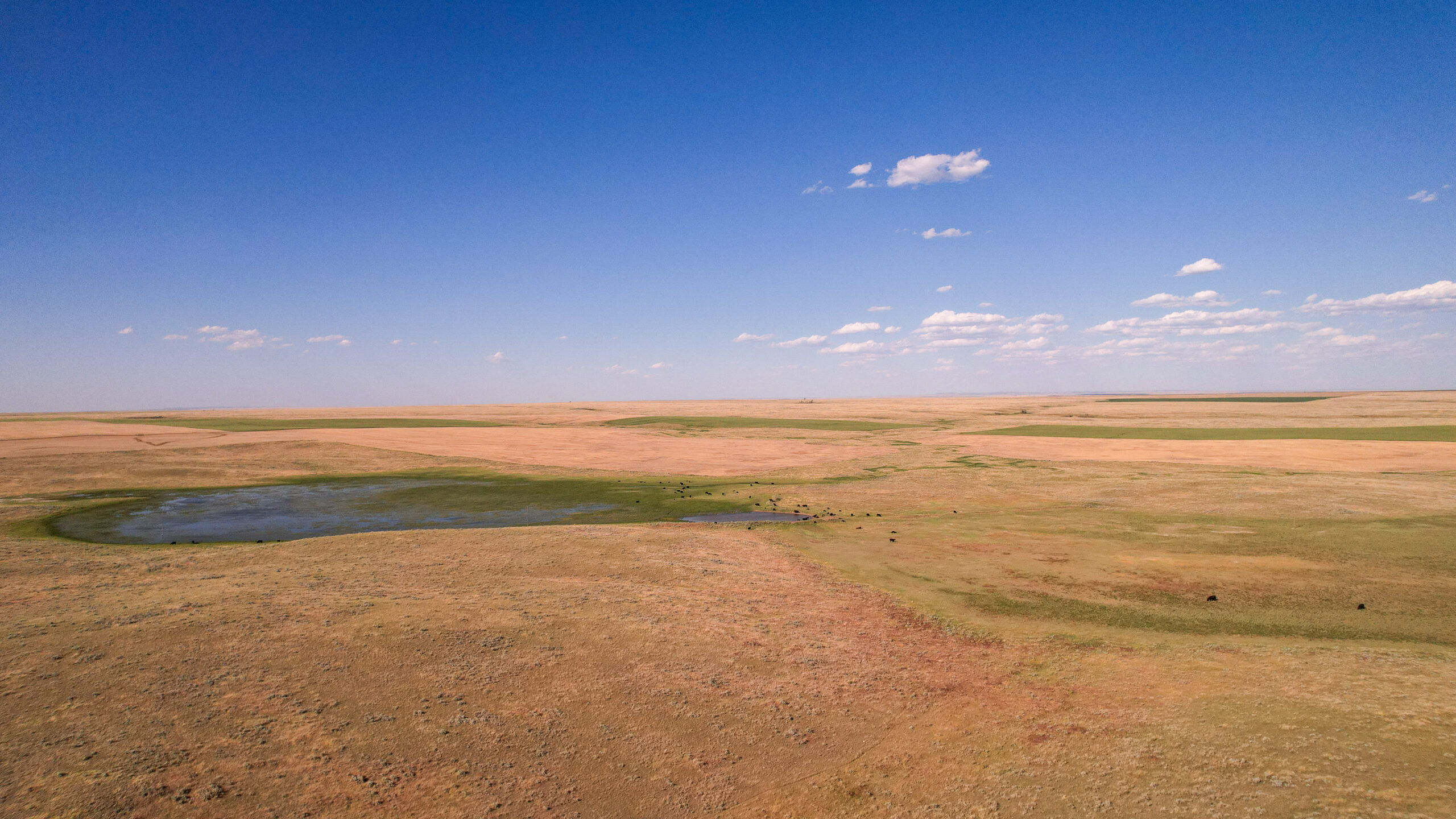 Golden Triangle Farm & Ranch in Hill County, Montana