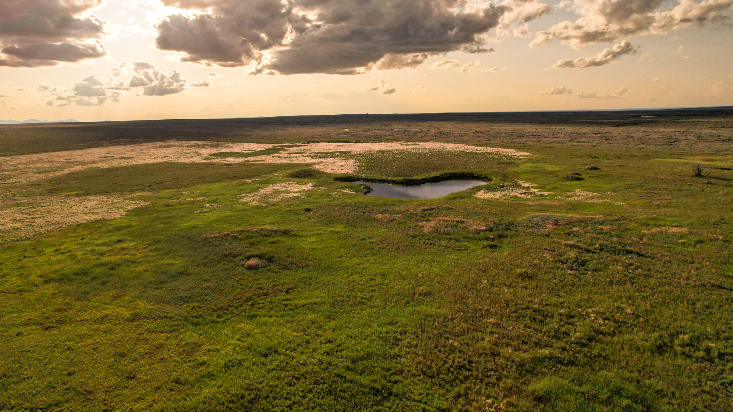 Pintail Ranch | Phillips County, Montana