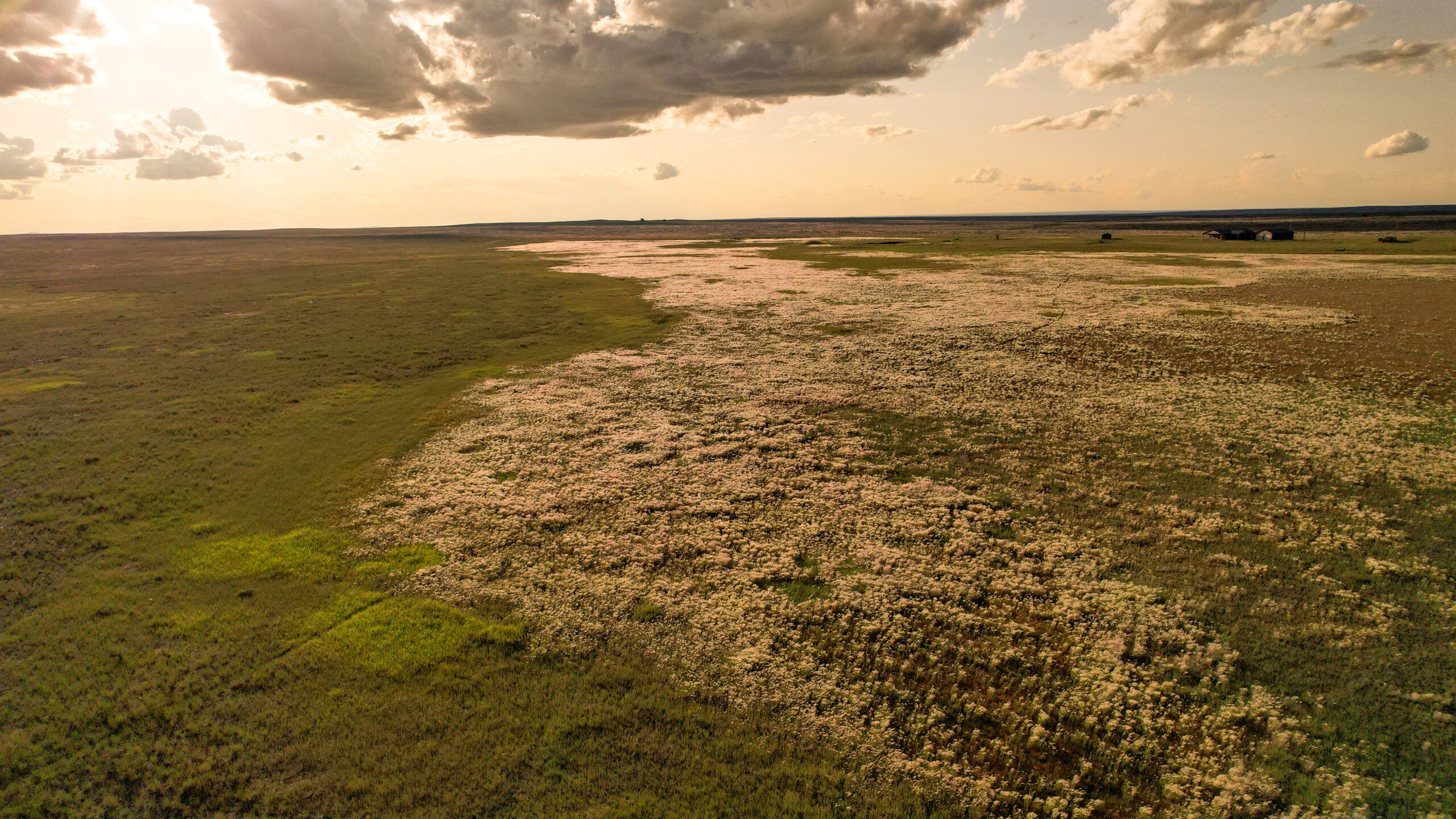 Pintail Ranch | Phillips County, Montana