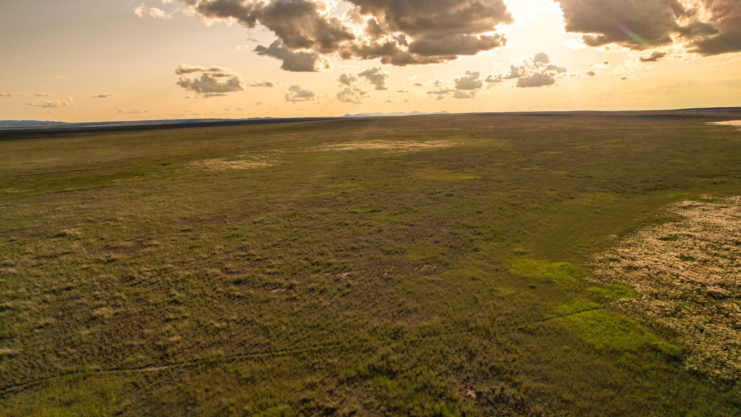 Pintail Ranch | Phillips County, Montana