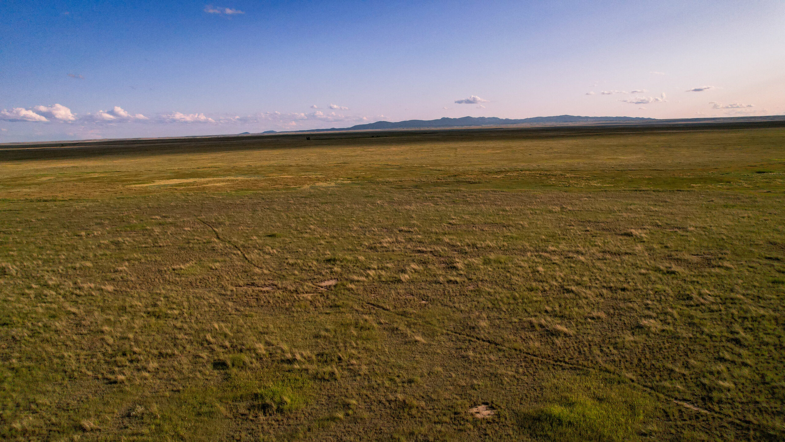Pintail Ranch | Phillips County, Montana