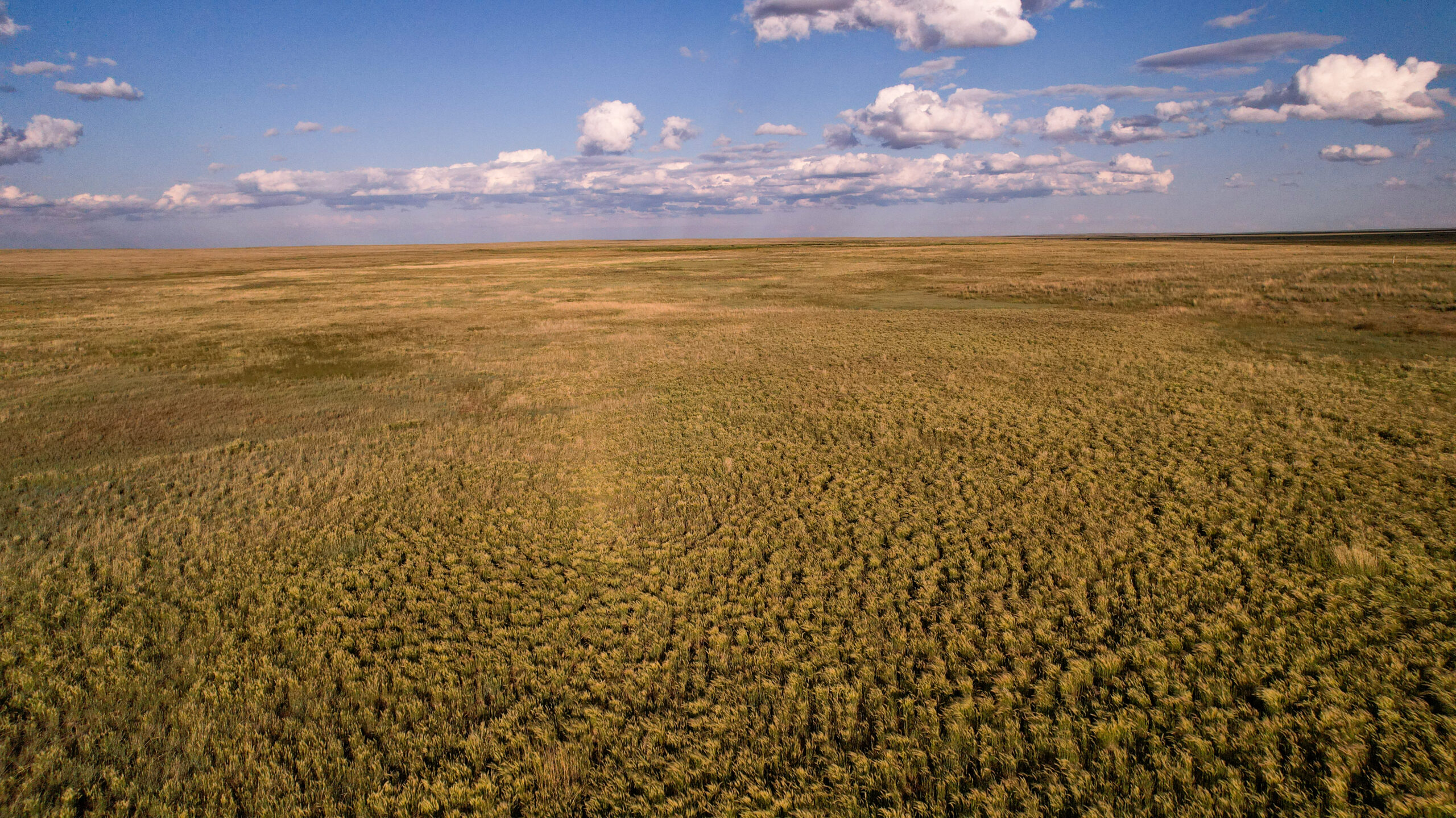 Pintail Ranch | Phillips County, Montana