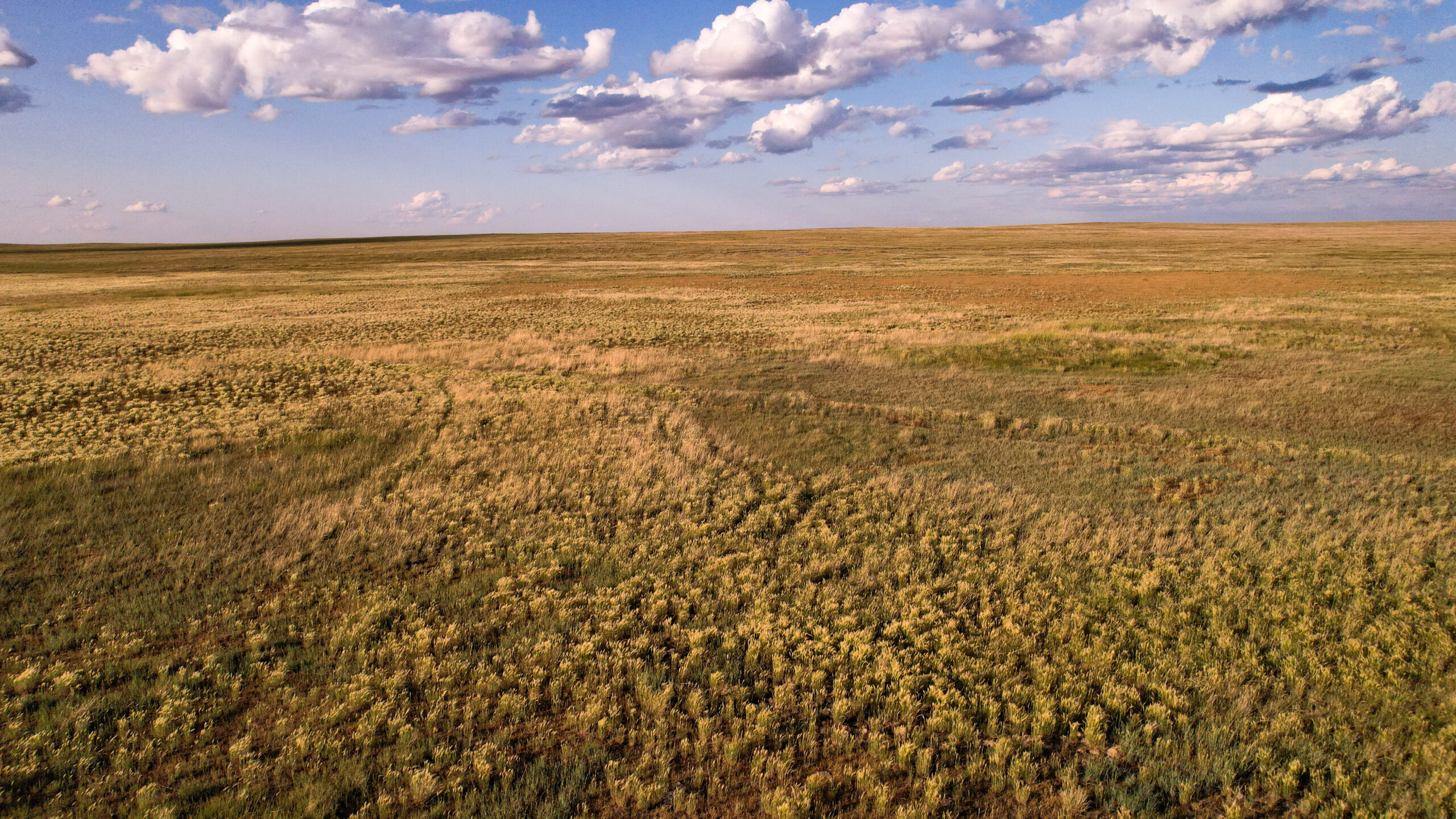 Pintail Ranch | Phillips County, Montana