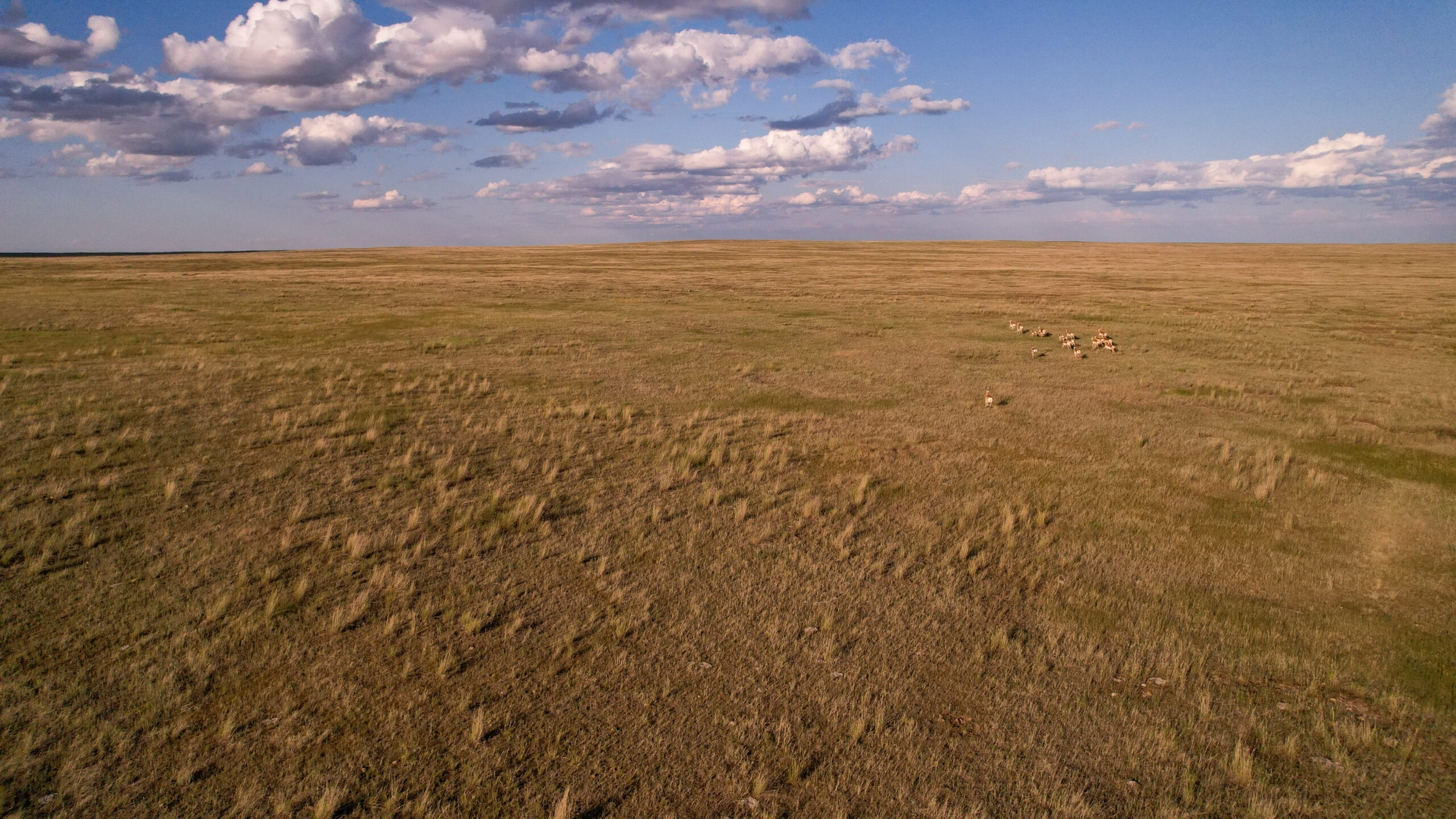 Pintail Ranch | Phillips County, Montana