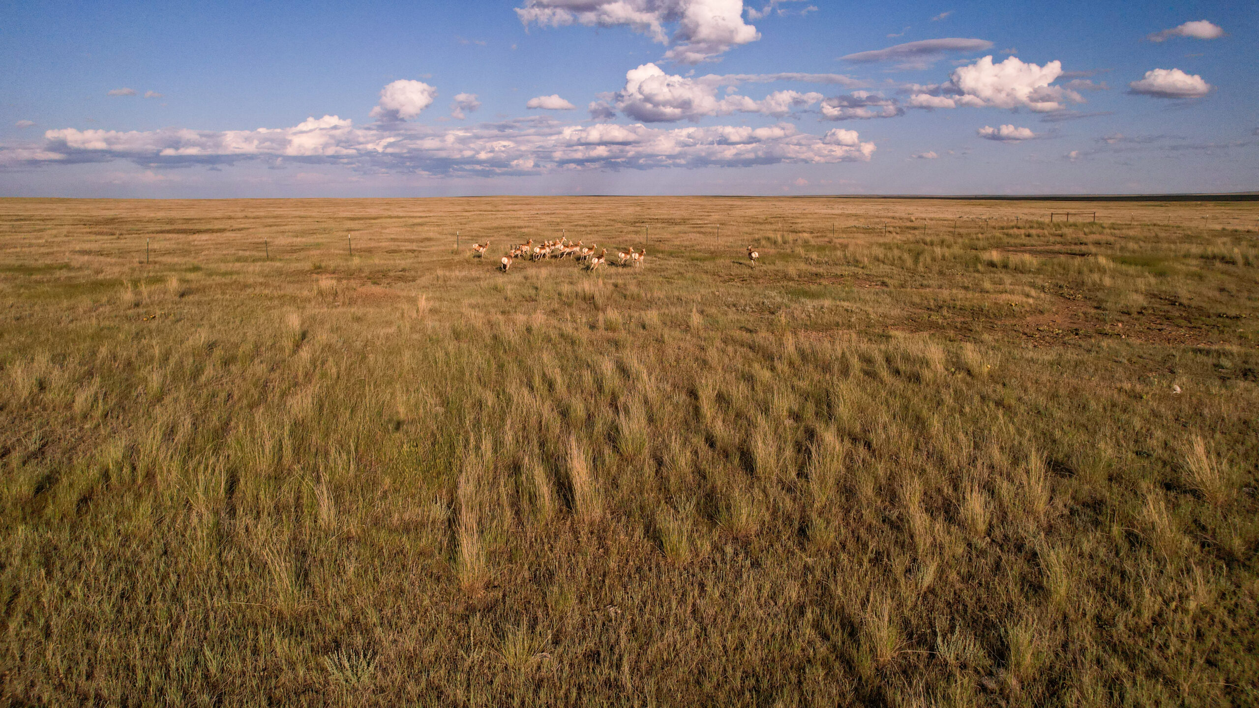 Pintail Ranch | Phillips County, Montana