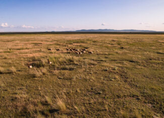 Pintail Ranch | Phillips County, Montana