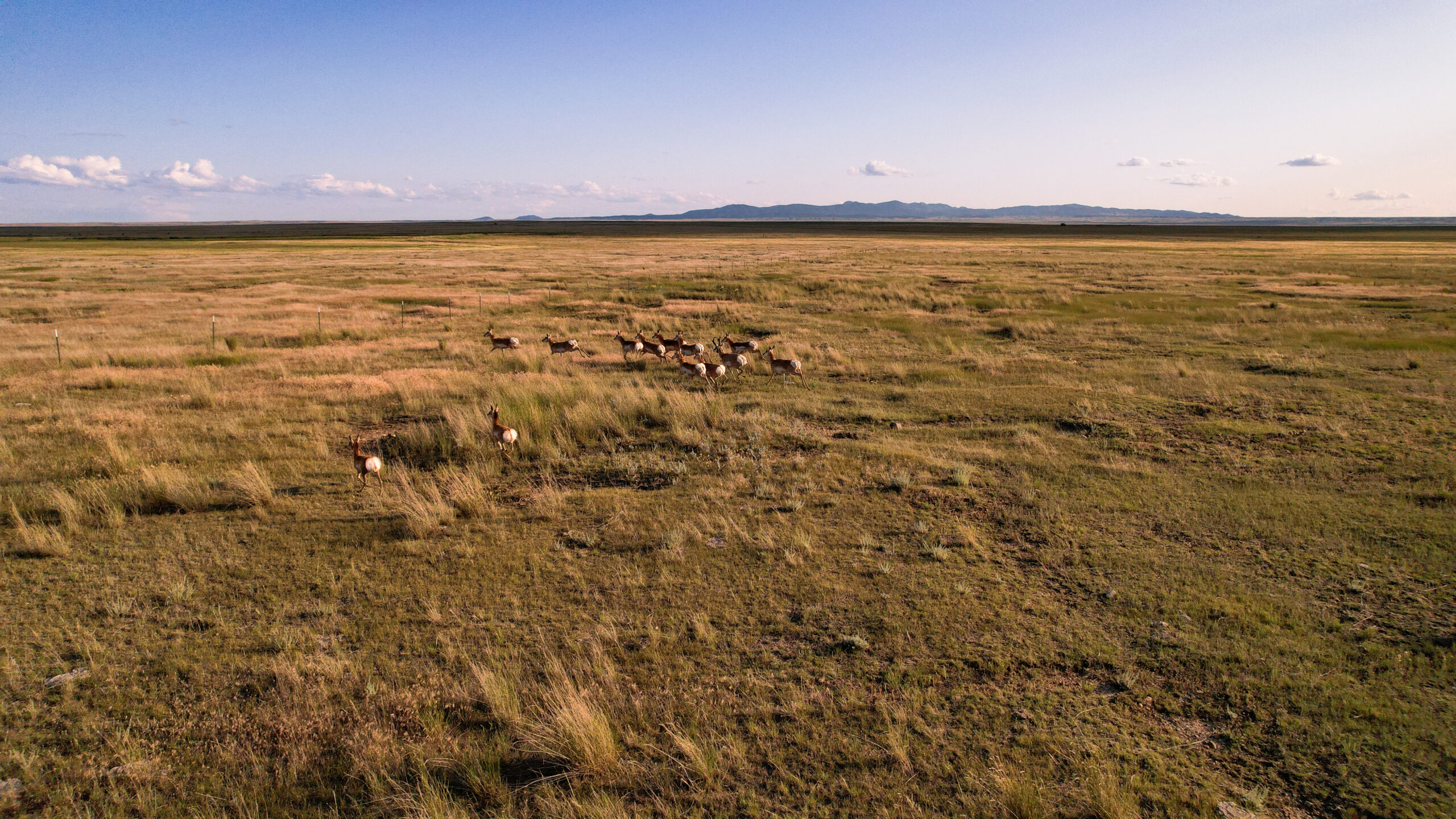 Pintail Ranch | Phillips County, Montana