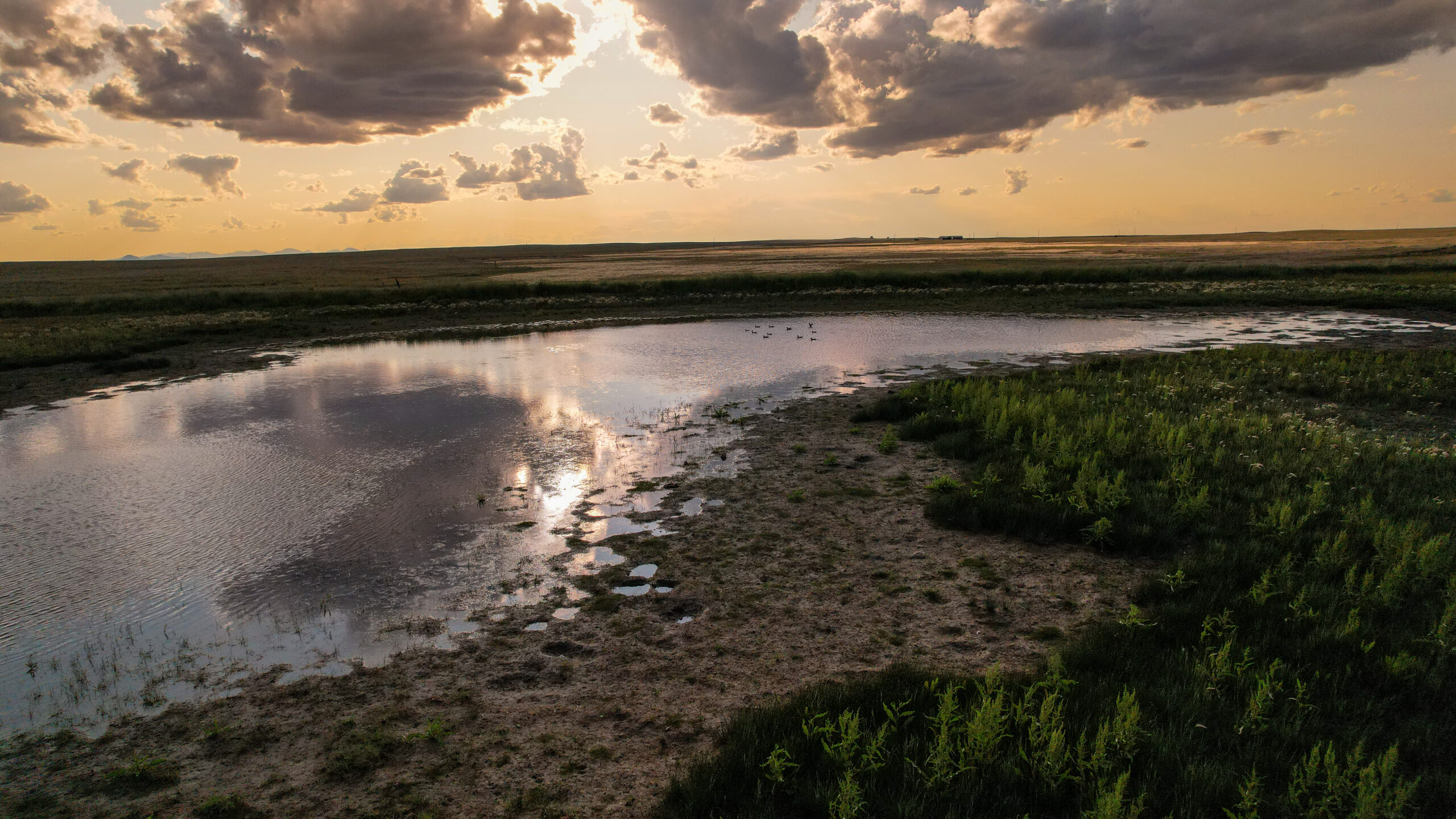 Pintail Ranch | Phillips County, Montana