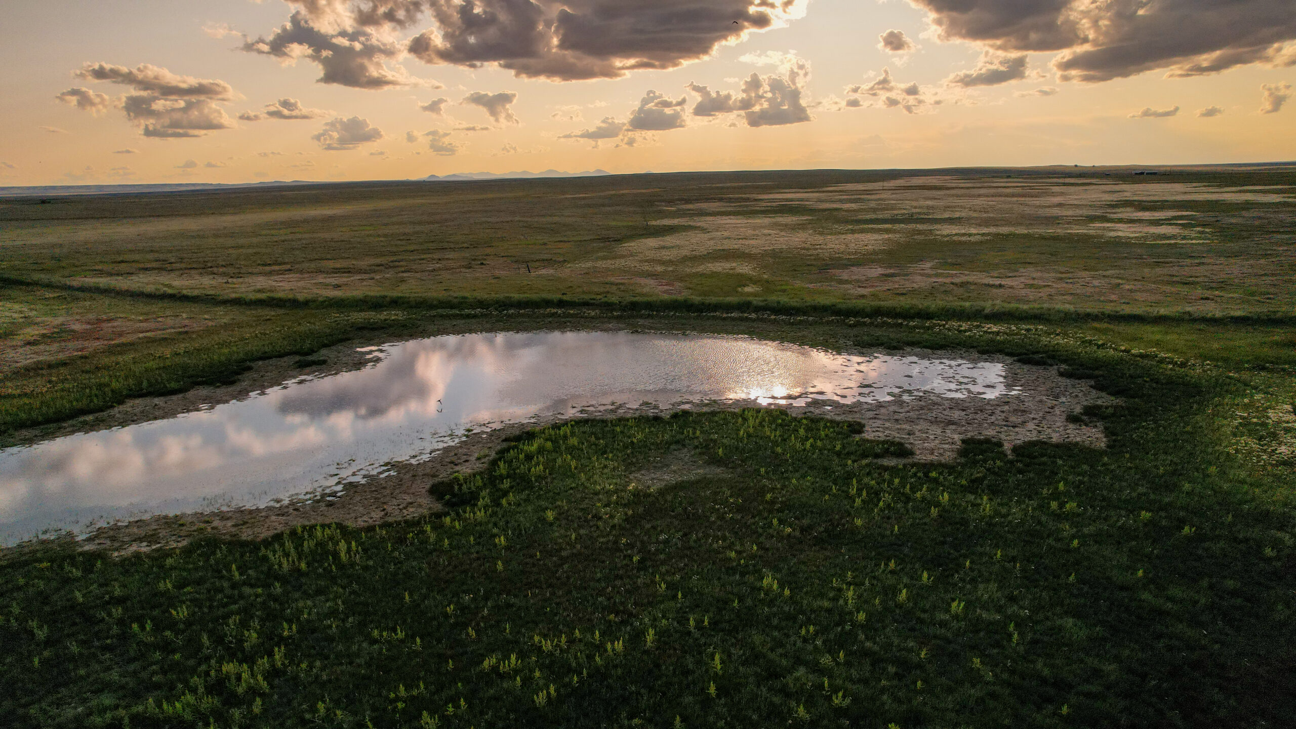 Pintail Ranch | Phillips County, Montana