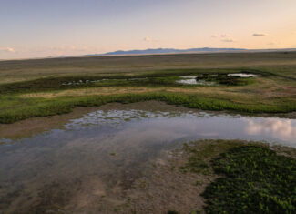 Pintail Ranch | Phillips County, Montana
