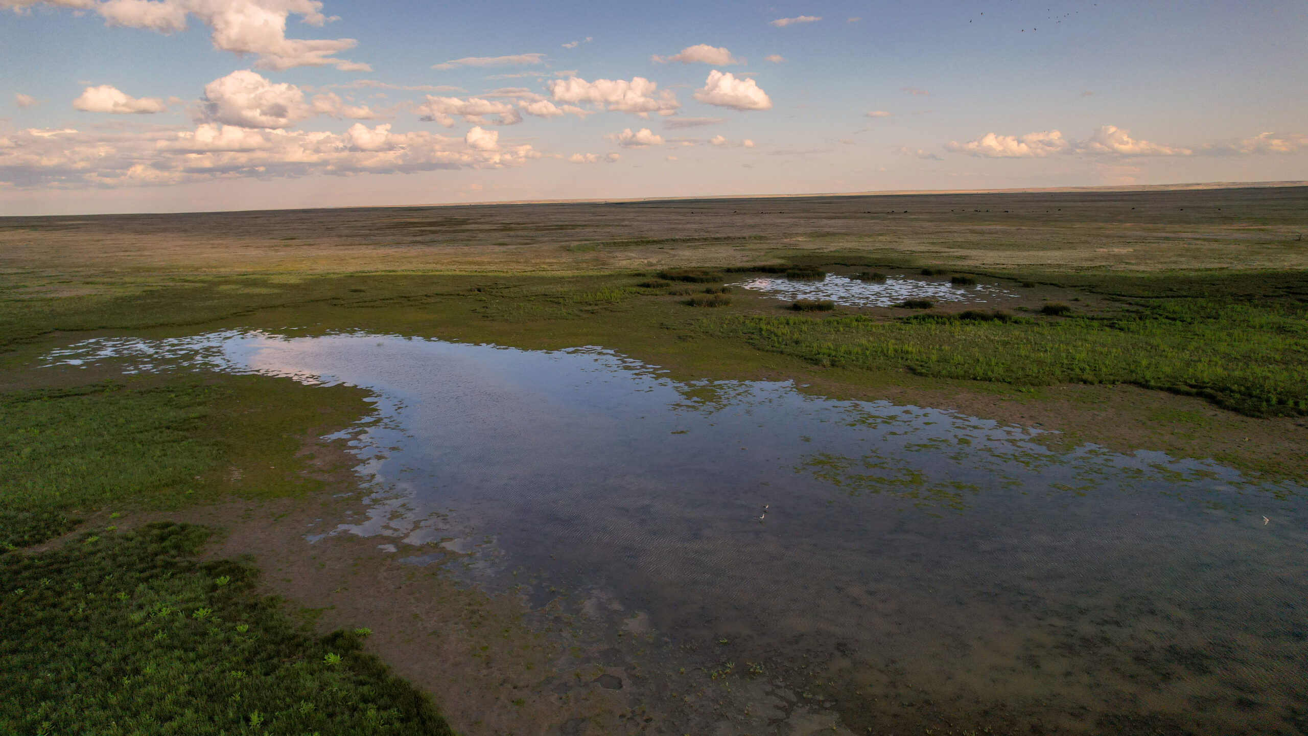 Pintail Ranch | Phillips County, Montana