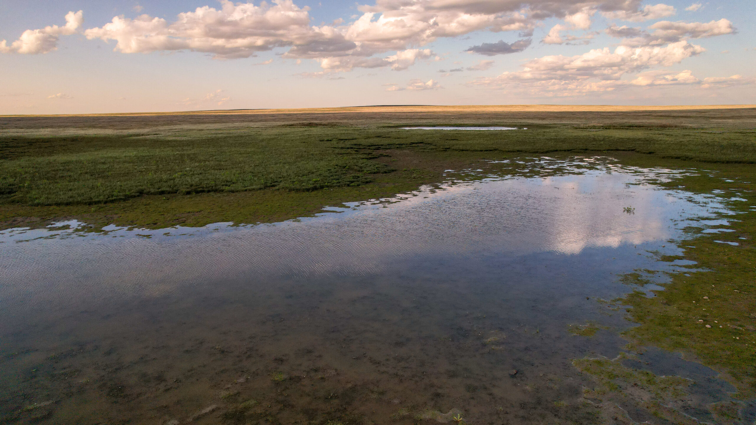 Pintail Ranch | Phillips County, Montana