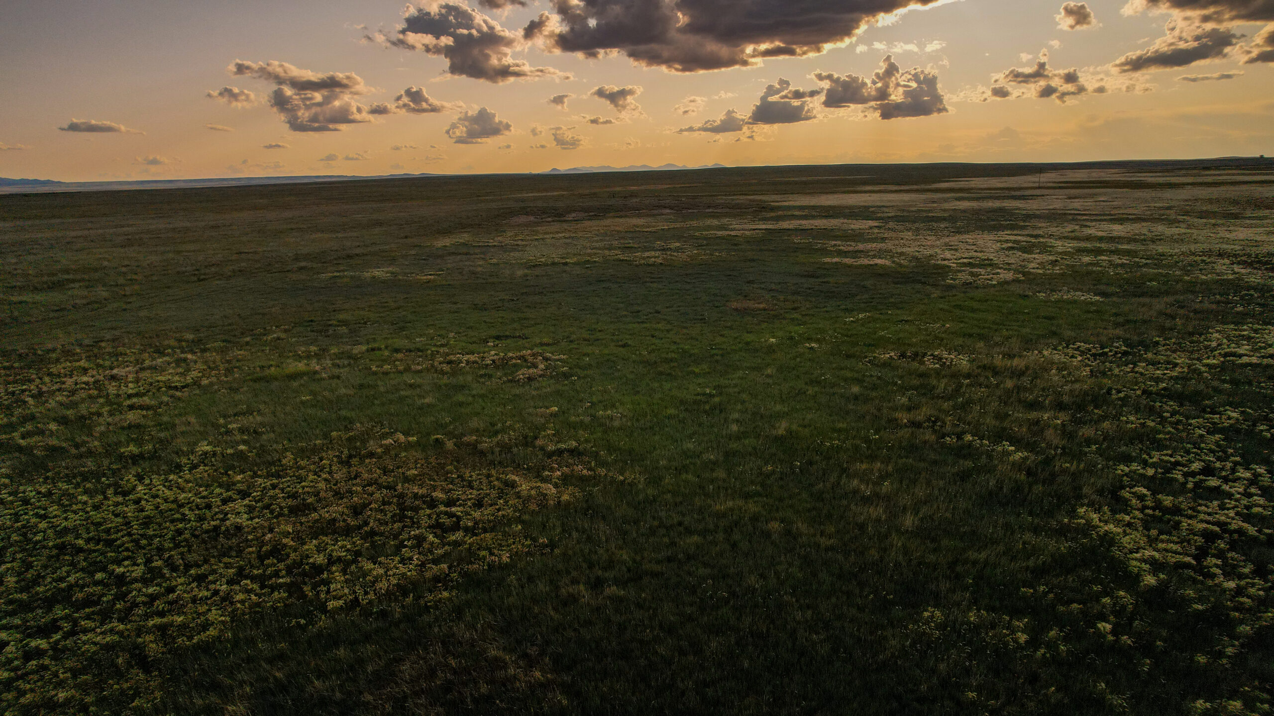 Pintail Ranch | Phillips County, Montana