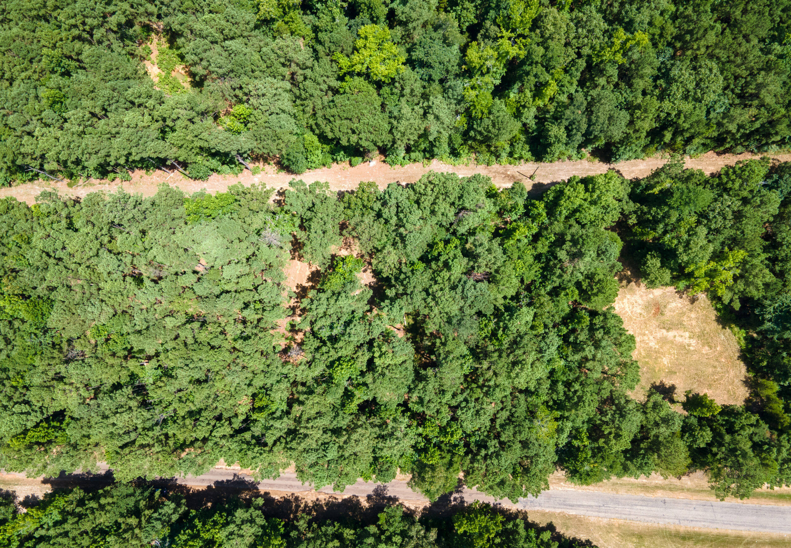 East Texas Land for Sale – ±8.38 Acres for Homesite or Hunting
