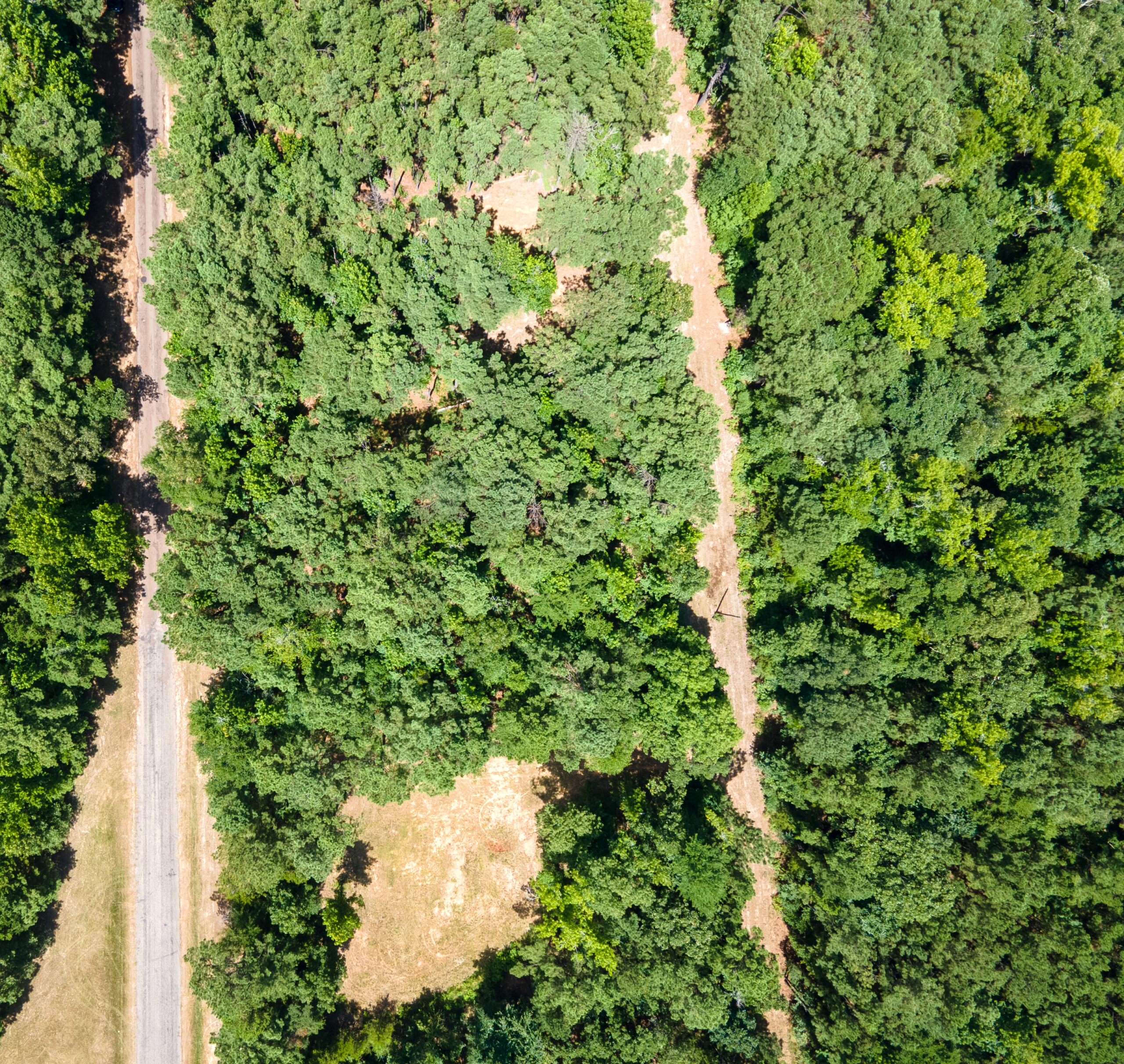 East Texas Land for Sale – ±8.38 Acres for Homesite or Hunting