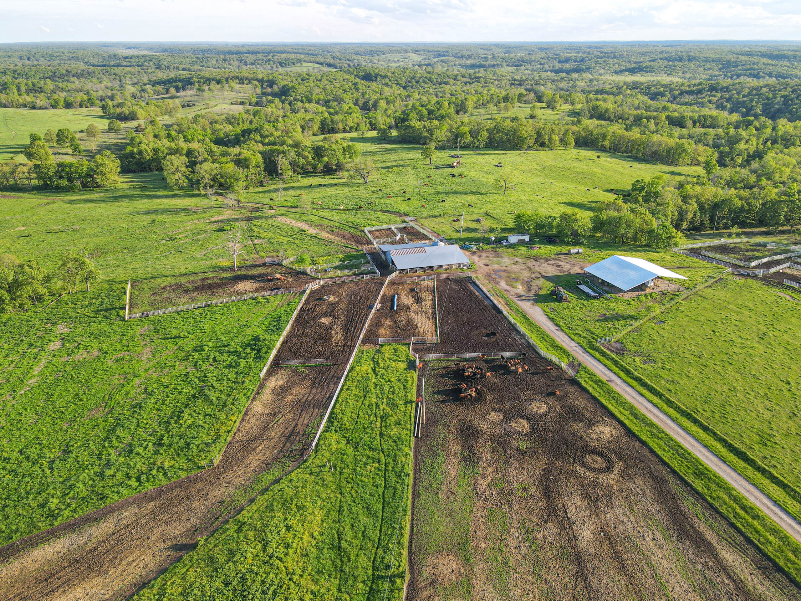 Ranch/ Hunting Property for Sale, St. Clair County Missouri