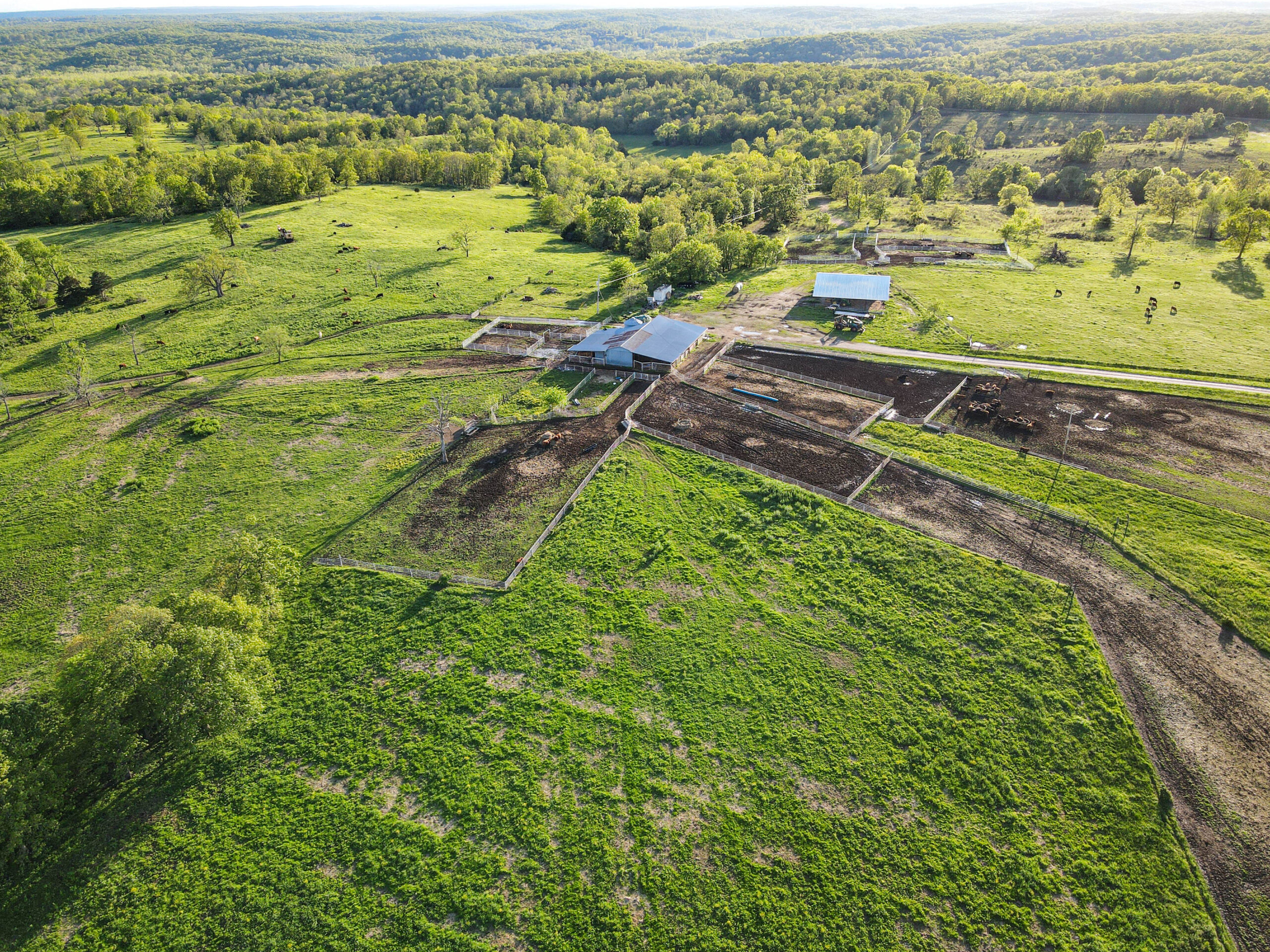 Ranch/ Hunting Property for Sale, St. Clair County Missouri