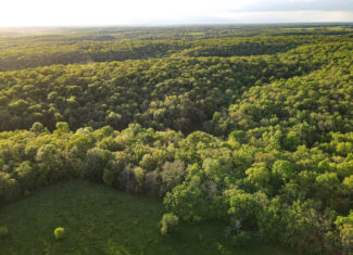 Ranch/ Hunting Property for Sale, St. Clair County Missouri