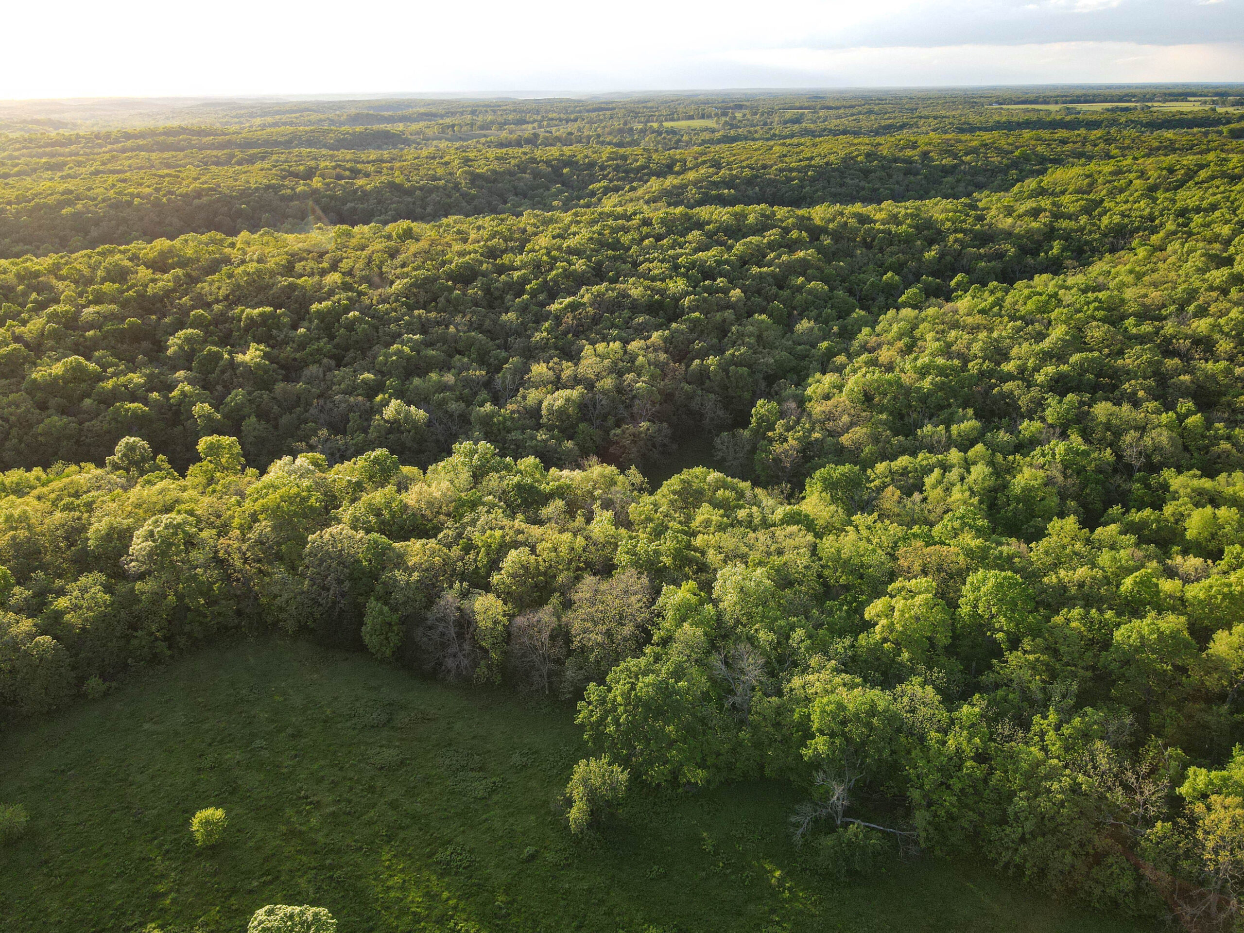 Ranch/ Hunting Property for Sale, St. Clair County Missouri