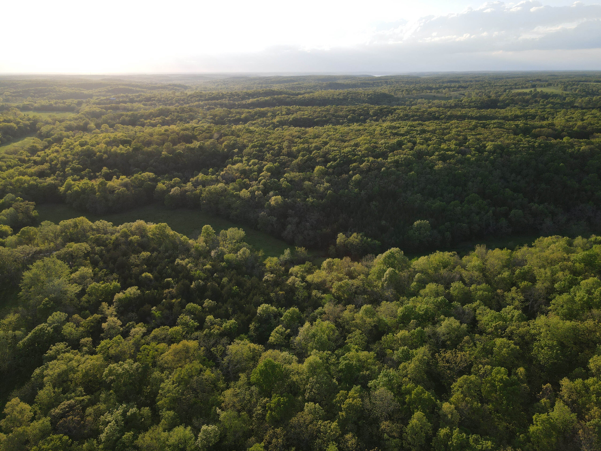 Ranch/ Hunting Property for Sale, St. Clair County Missouri