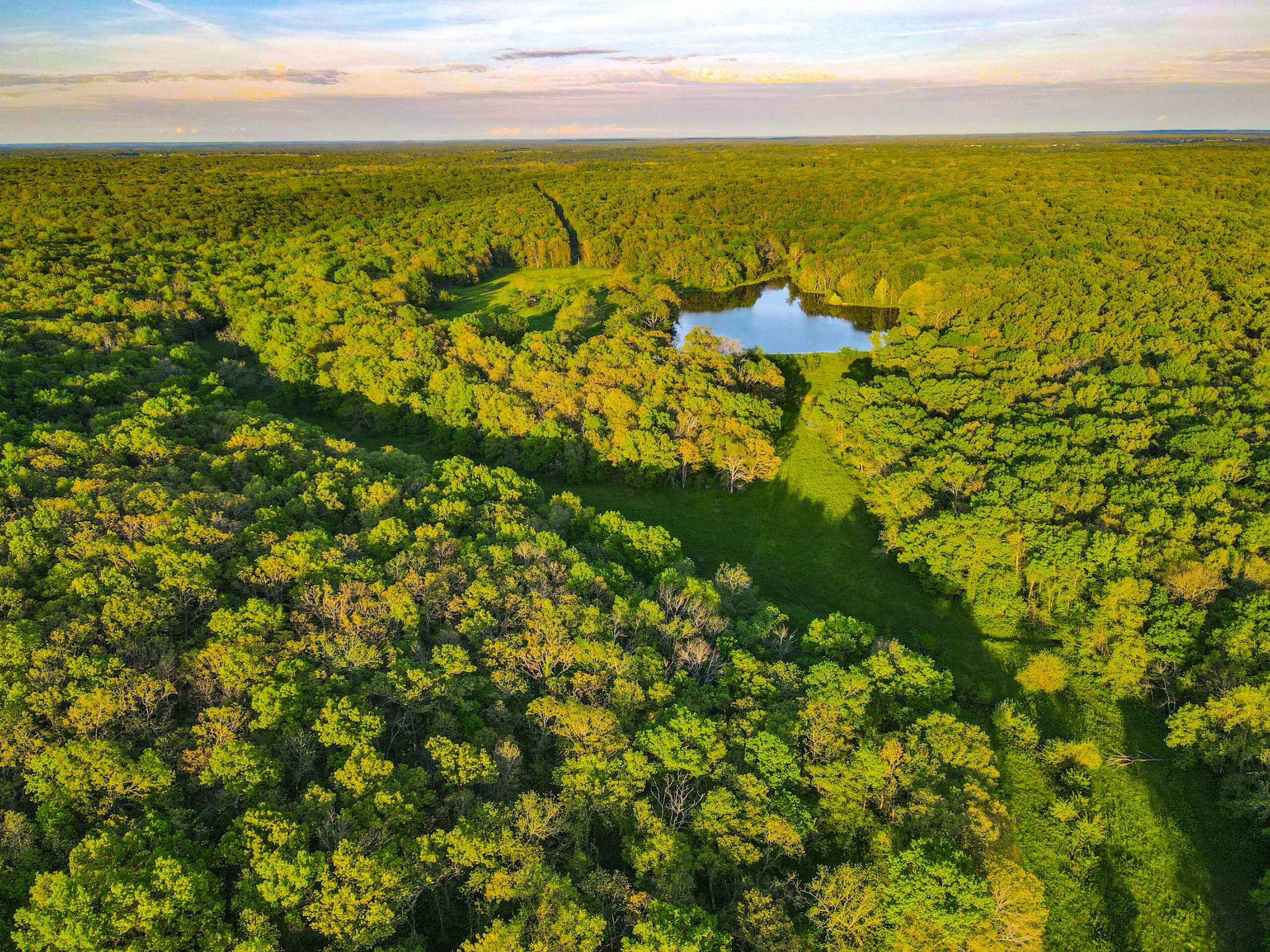 Ranch/ Hunting Property for Sale, St. Clair County Missouri