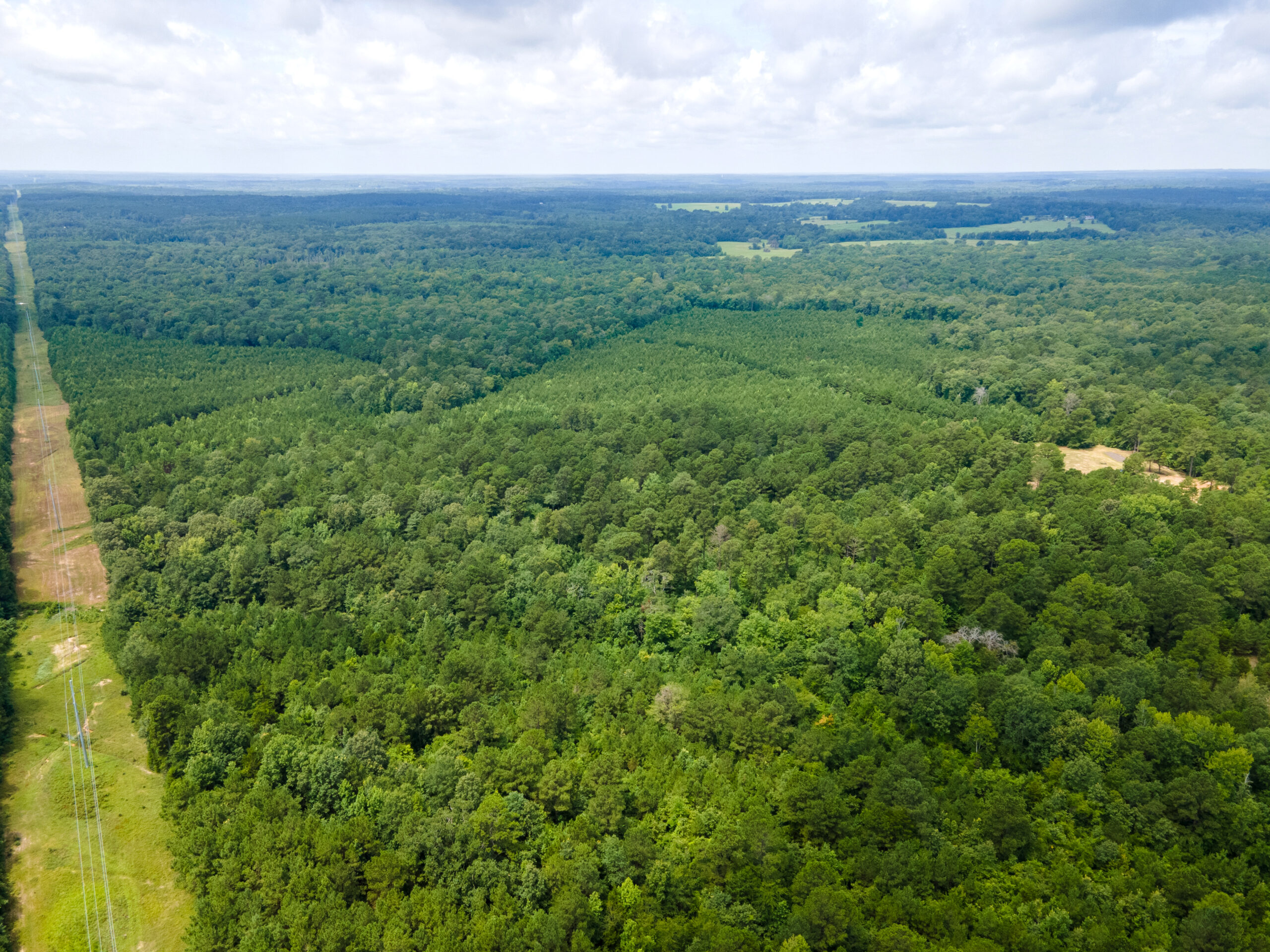 Reed Ranch – East Texas Hunting & Timber Property