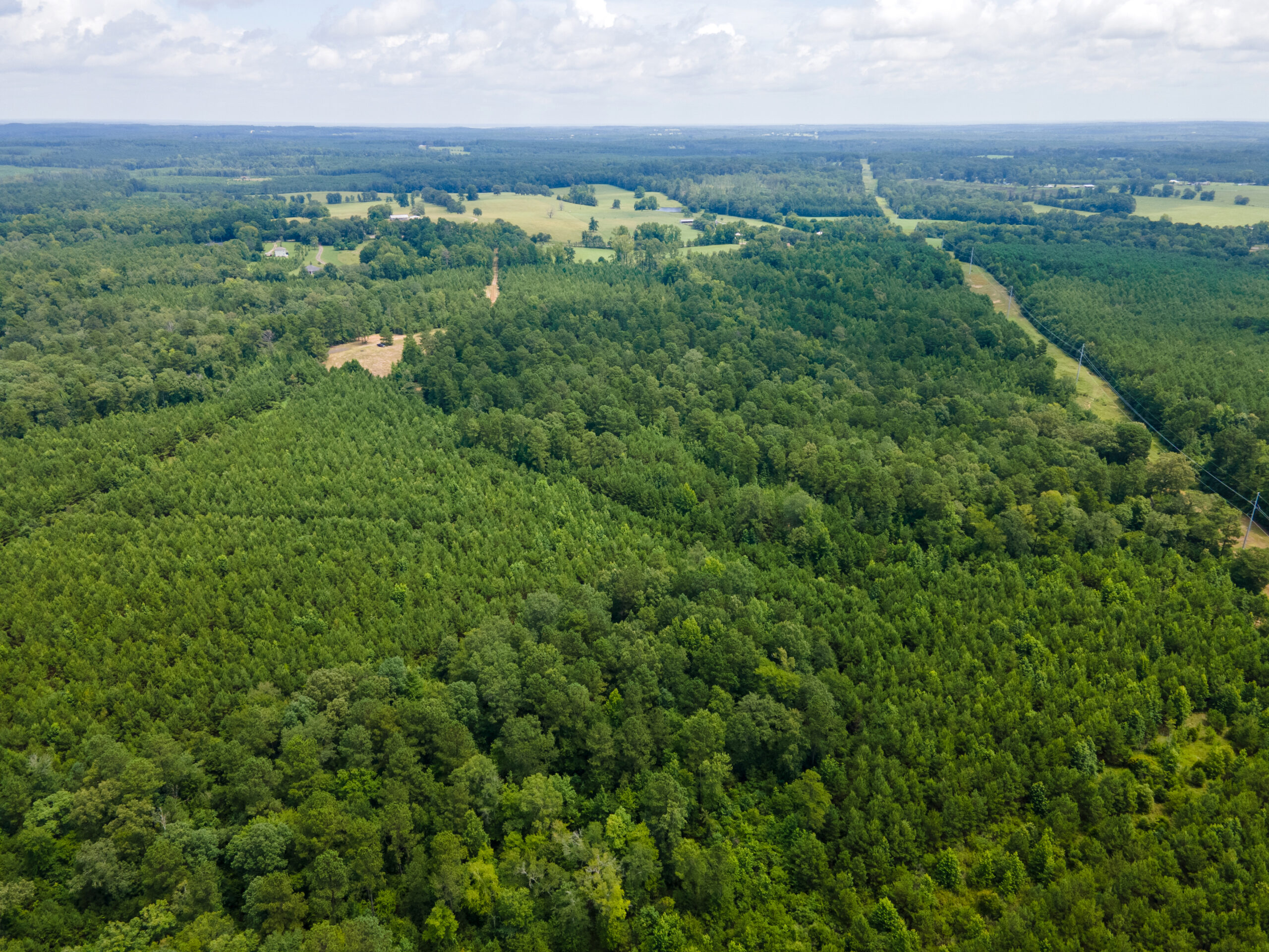Reed Ranch – East Texas Hunting & Timber Property