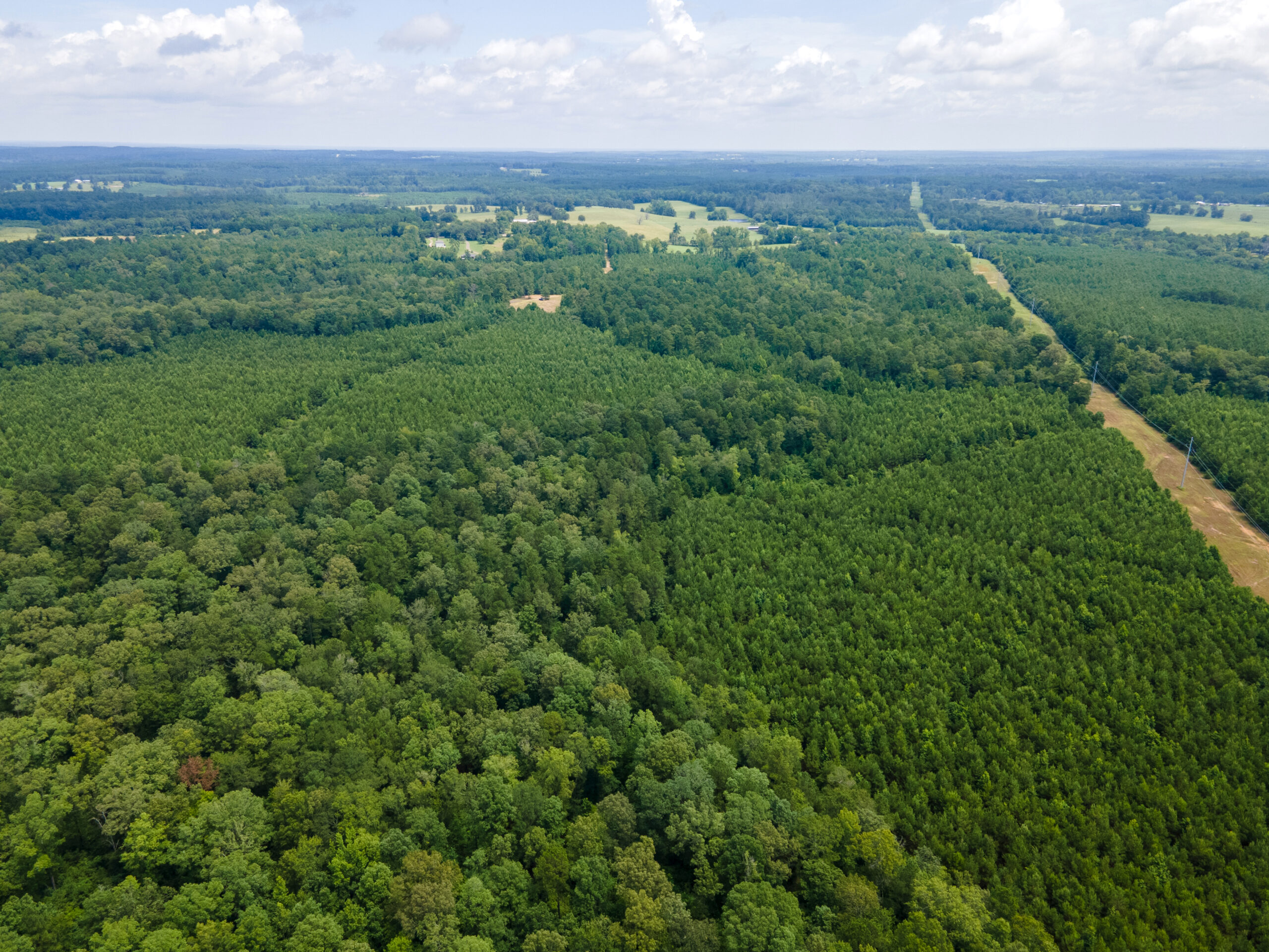 Reed Ranch – East Texas Hunting & Timber Property