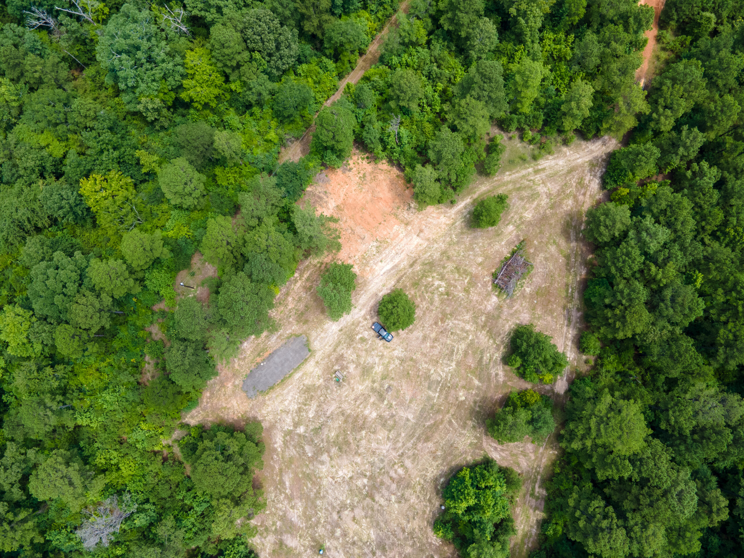 Reed Ranch – East Texas Hunting & Timber Property