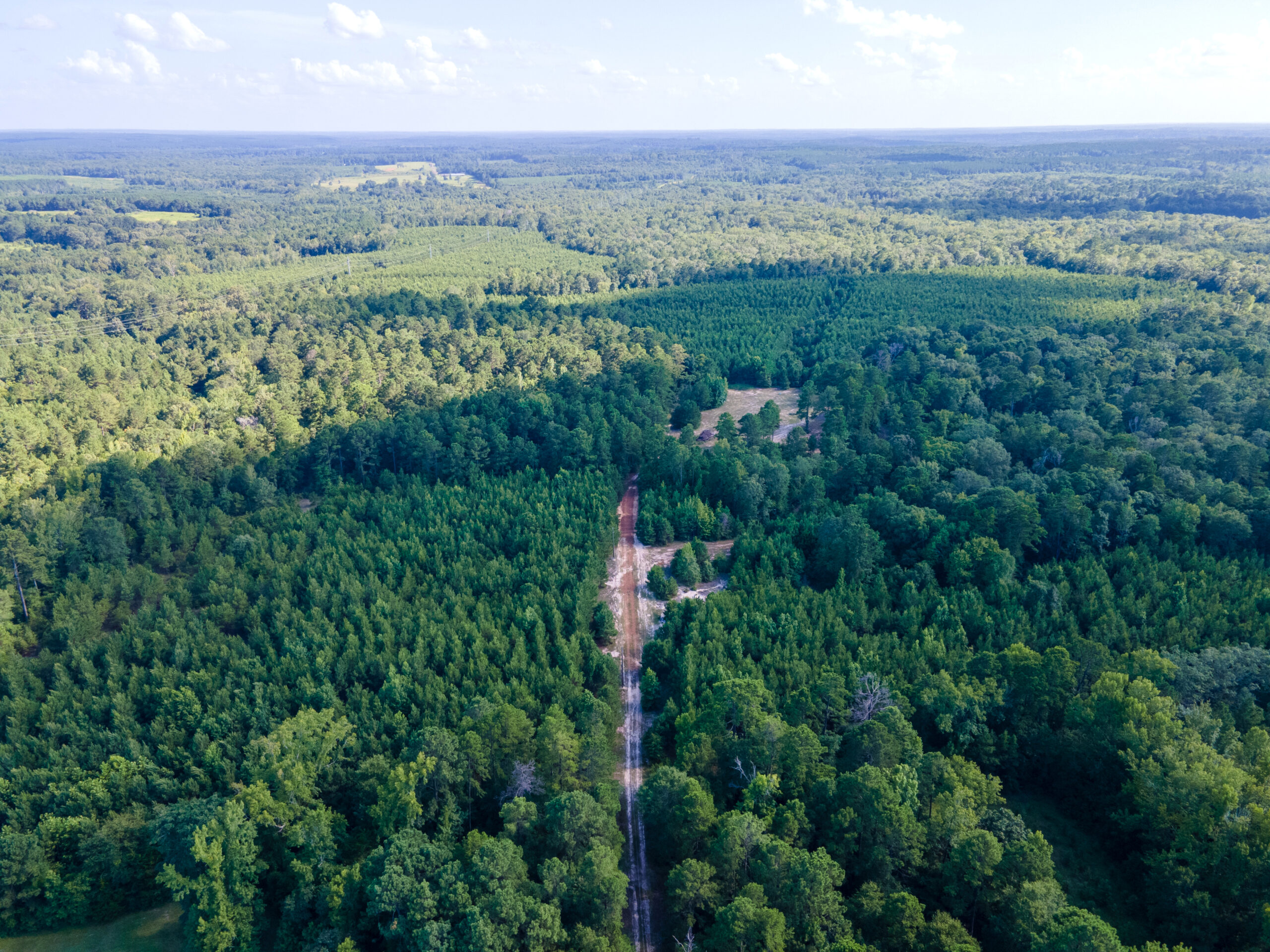 Reed Ranch – East Texas Hunting & Timber Property