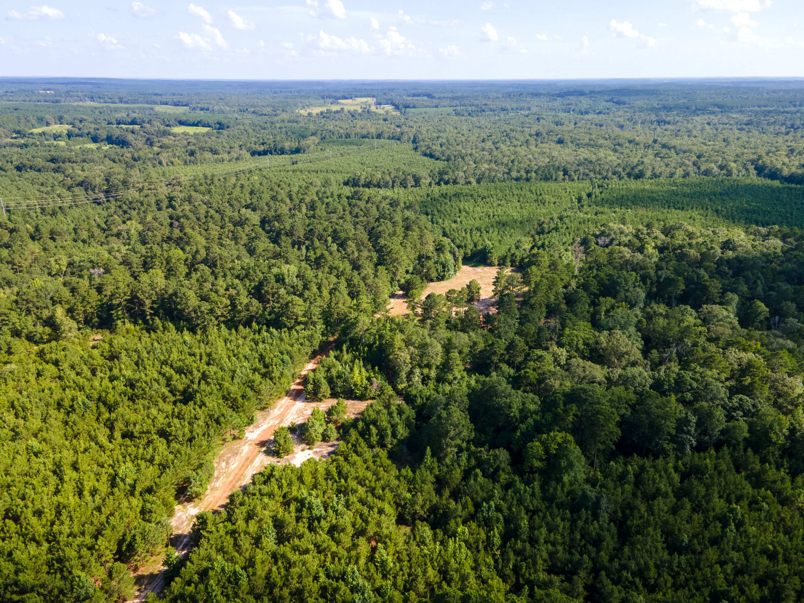 Reed Ranch – East Texas Hunting & Timber Property