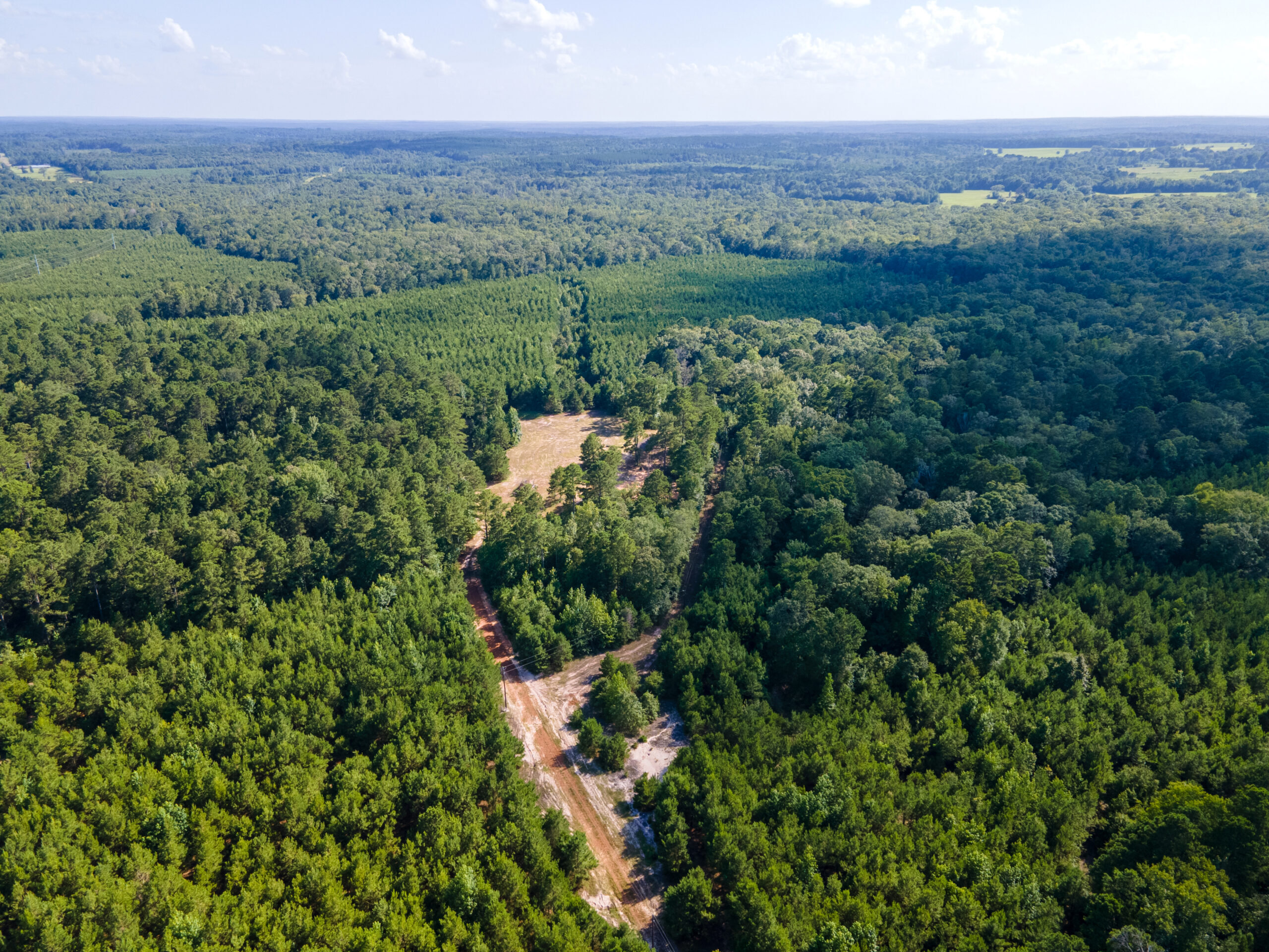 Reed Ranch – East Texas Hunting & Timber Property