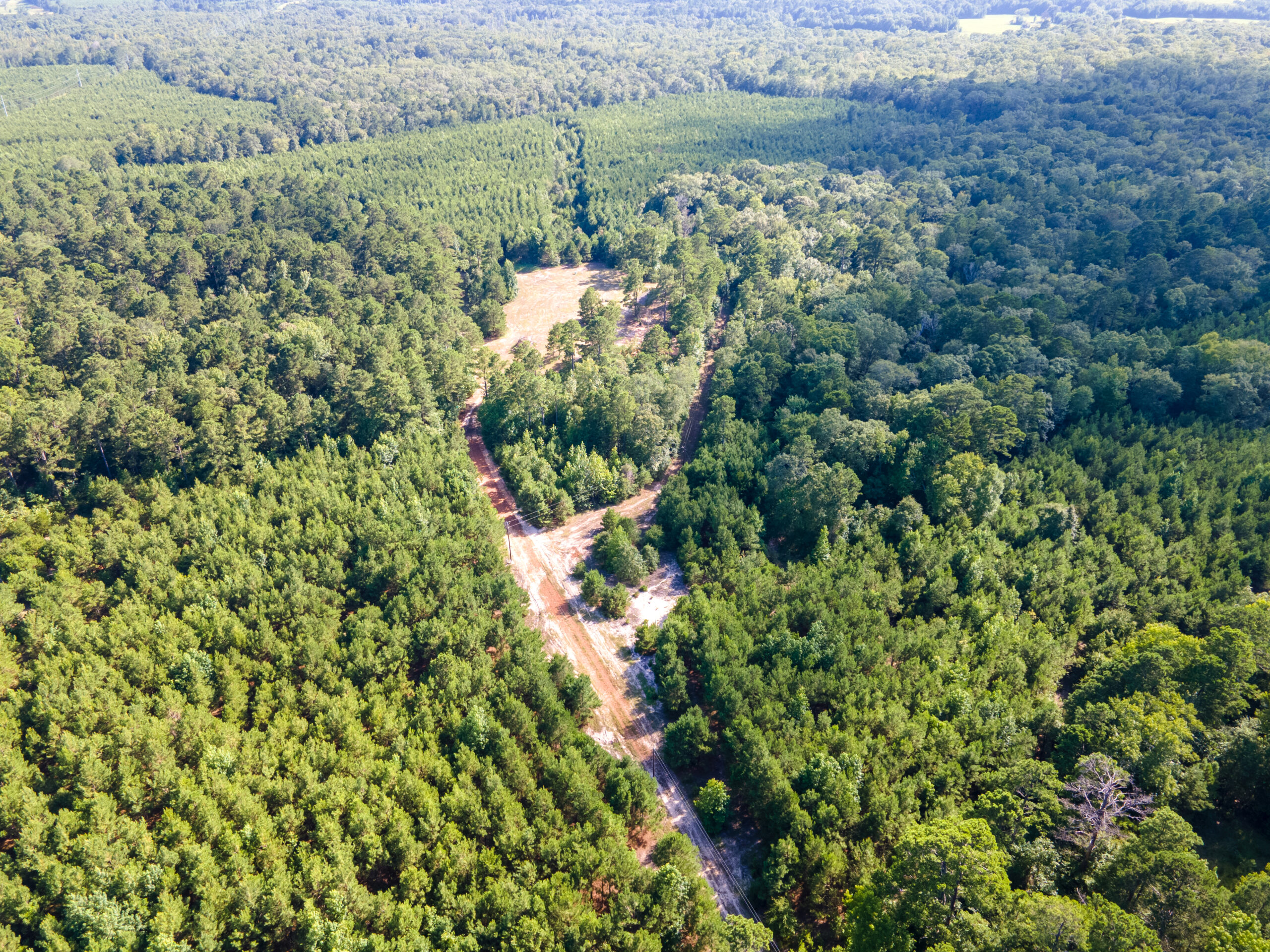 Reed Ranch – East Texas Hunting & Timber Property