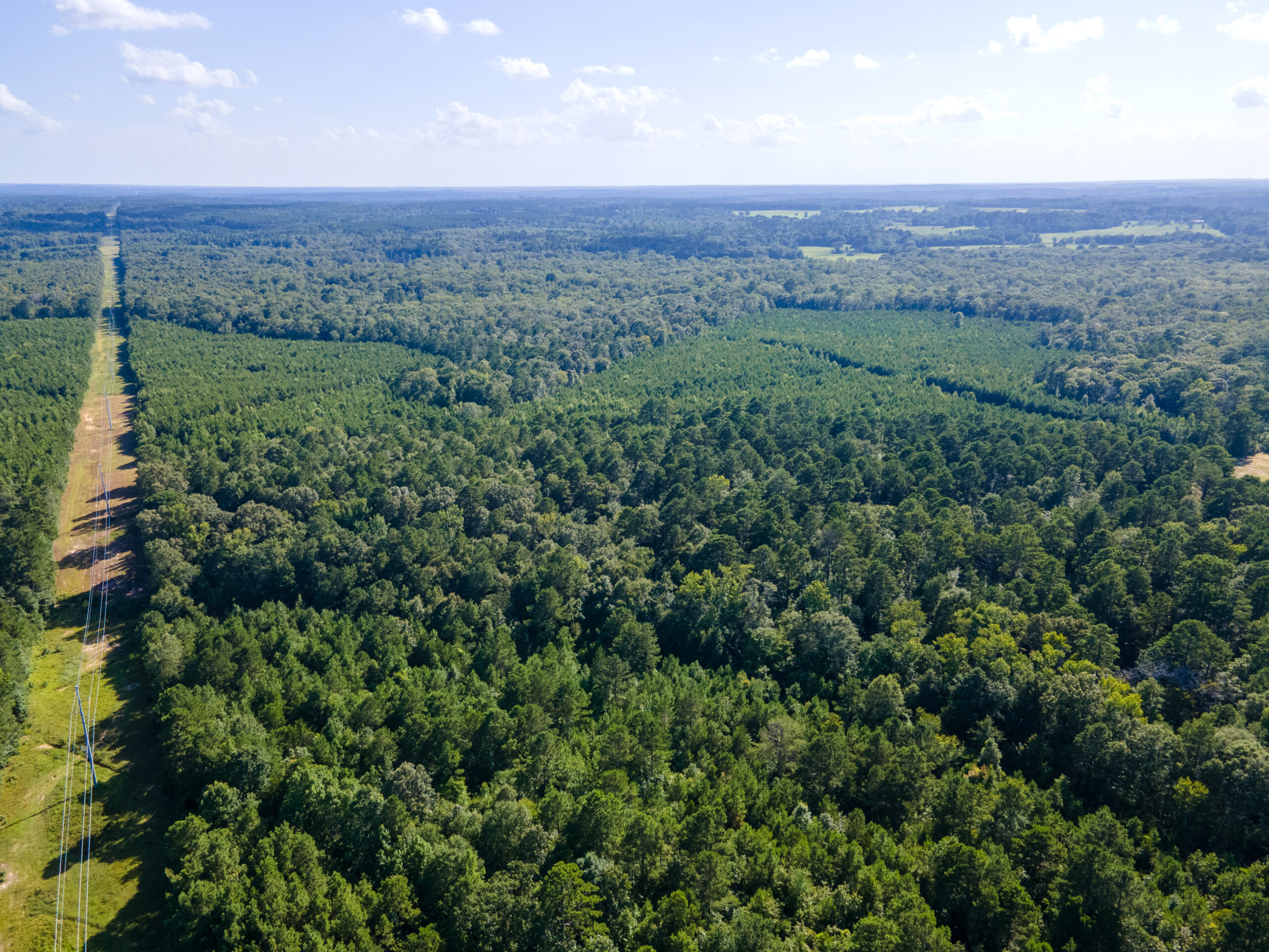 Reed Ranch – East Texas Hunting & Timber Property