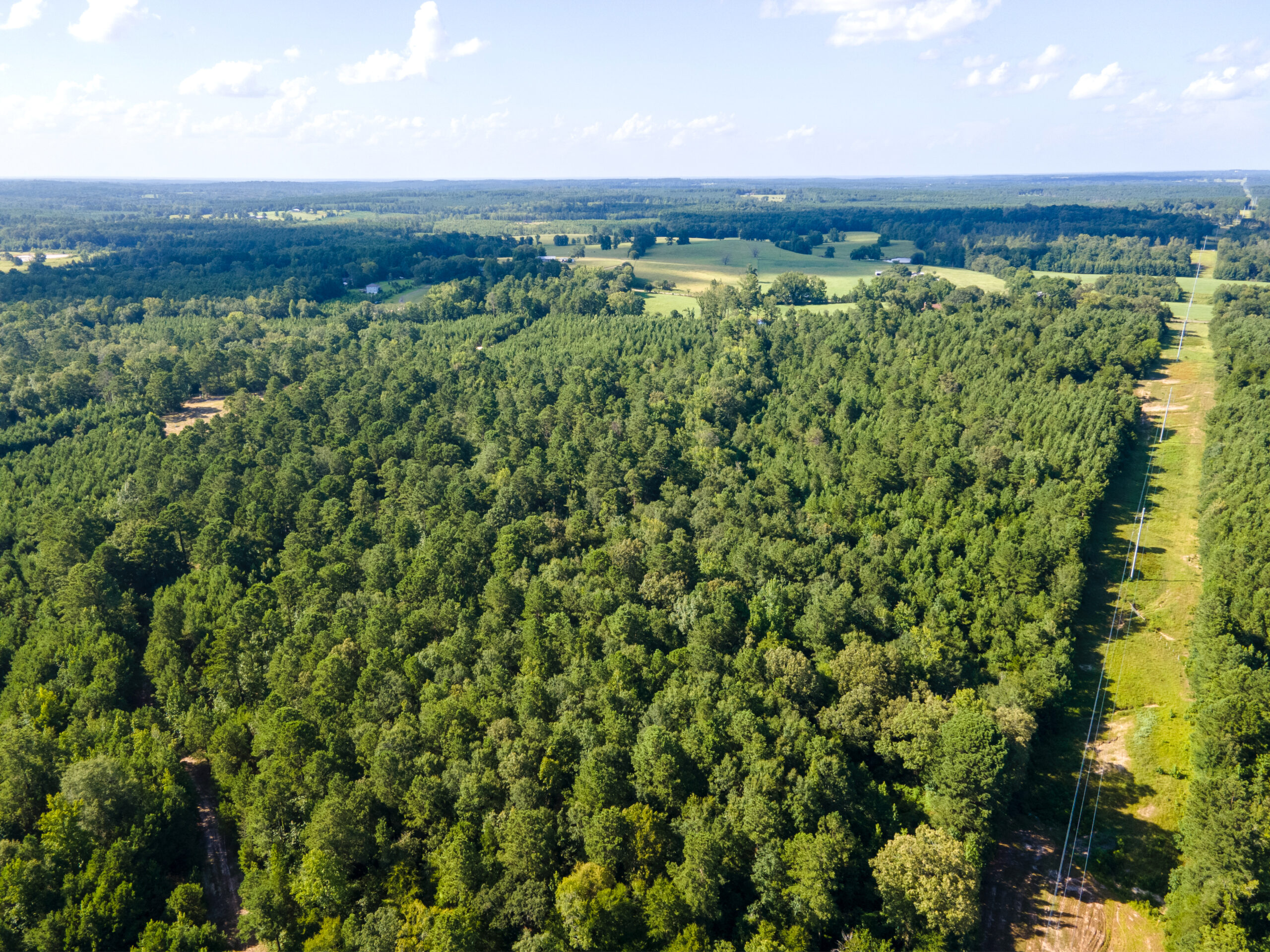 Reed Ranch – East Texas Hunting & Timber Property