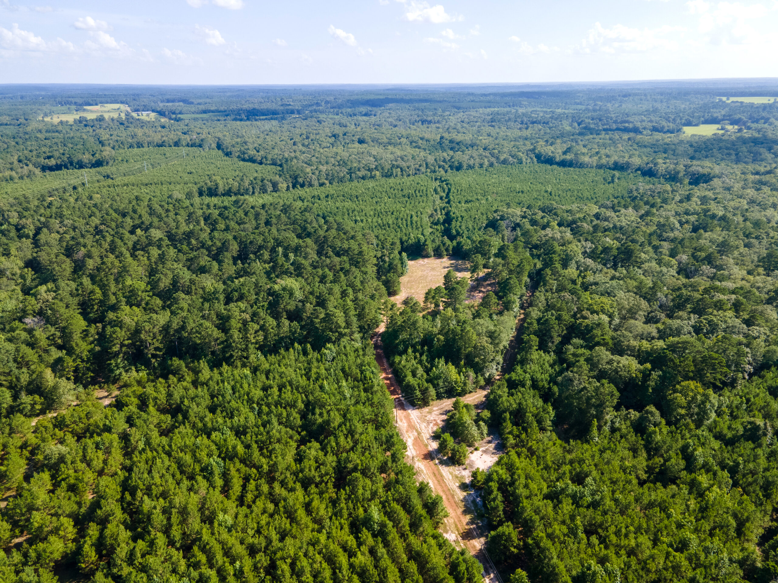 Reed Ranch – East Texas Hunting & Timber Property